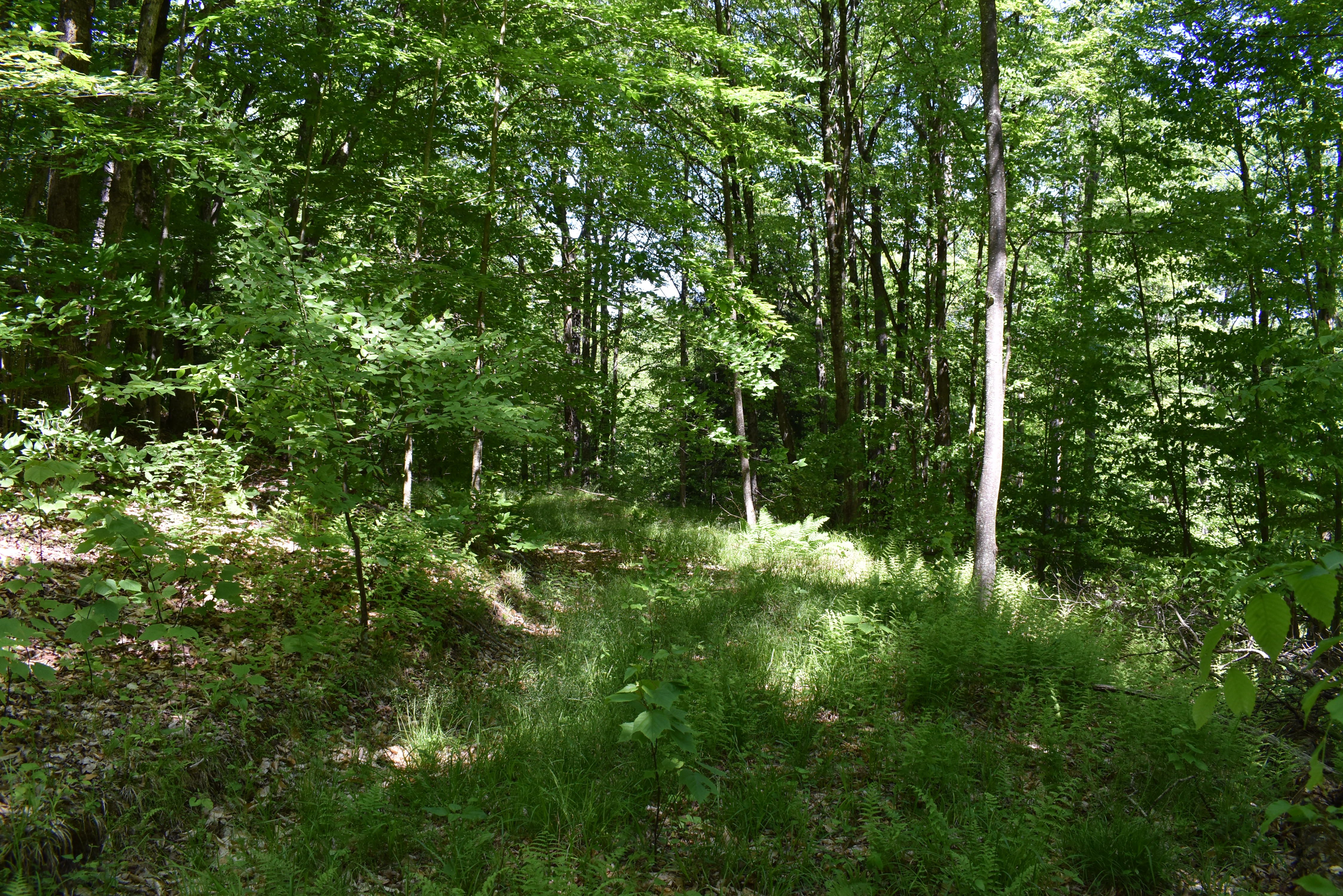 Listing Image 27