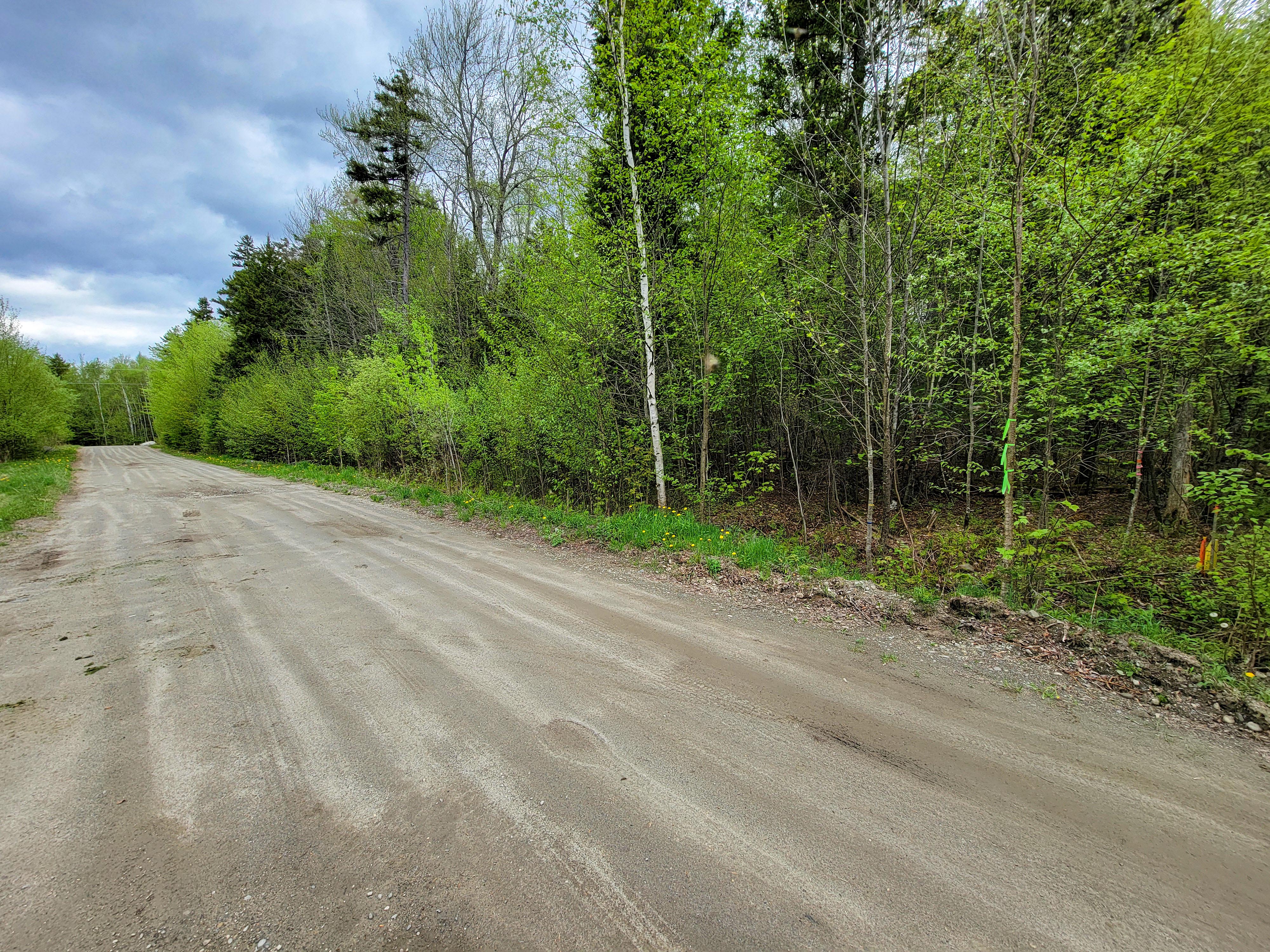 Listing Image 27