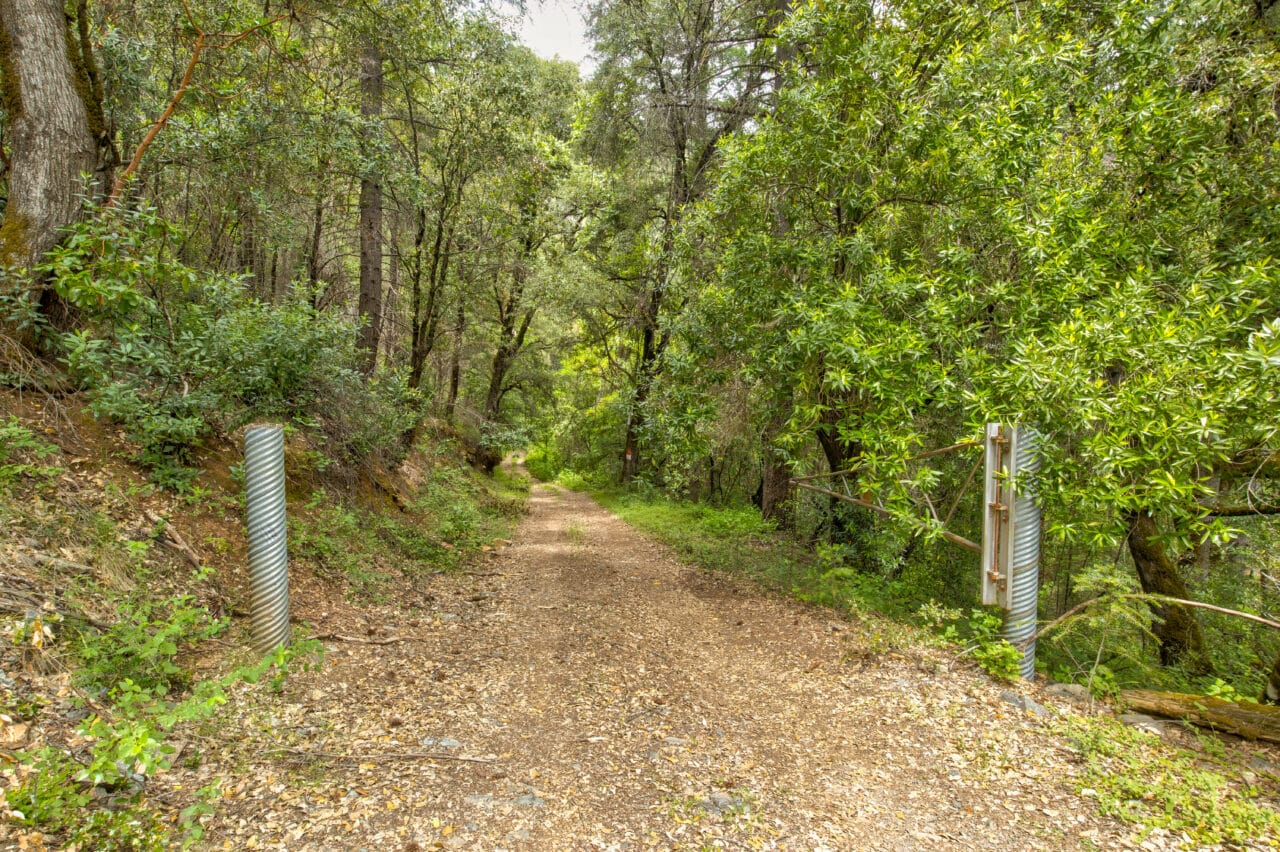 Foresthill Divide
