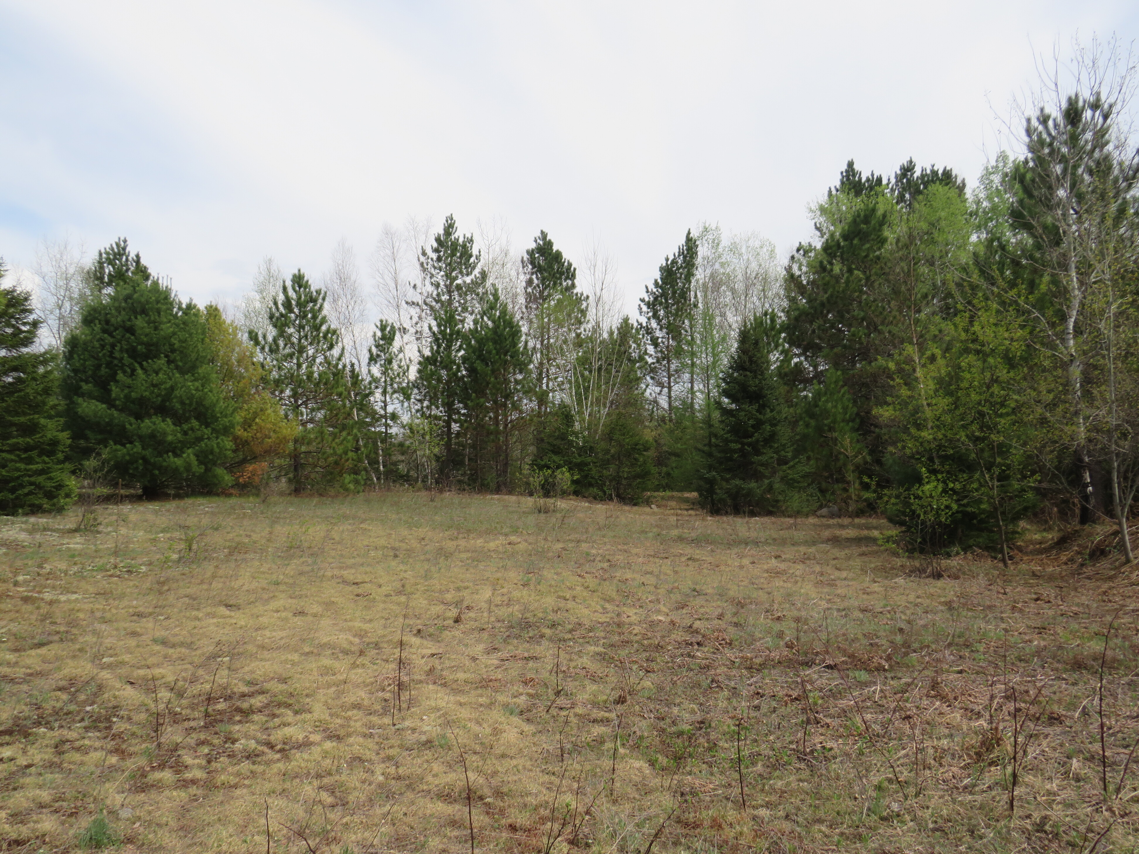 160 Acre Wilderness Retreat 50175391
