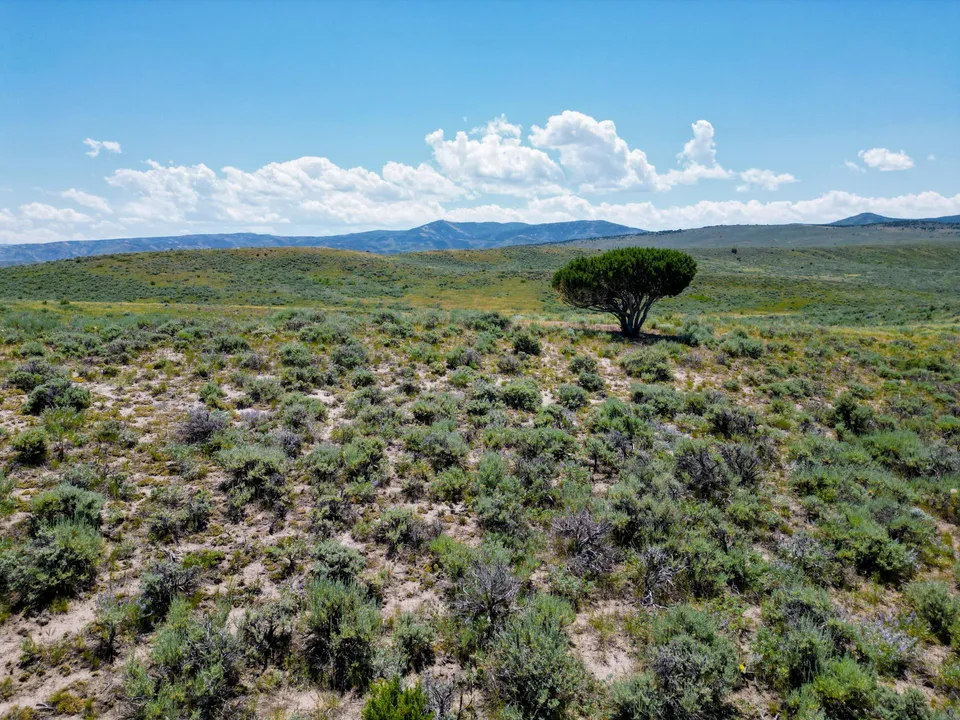 Maybell Grazing & Big Game Ranch