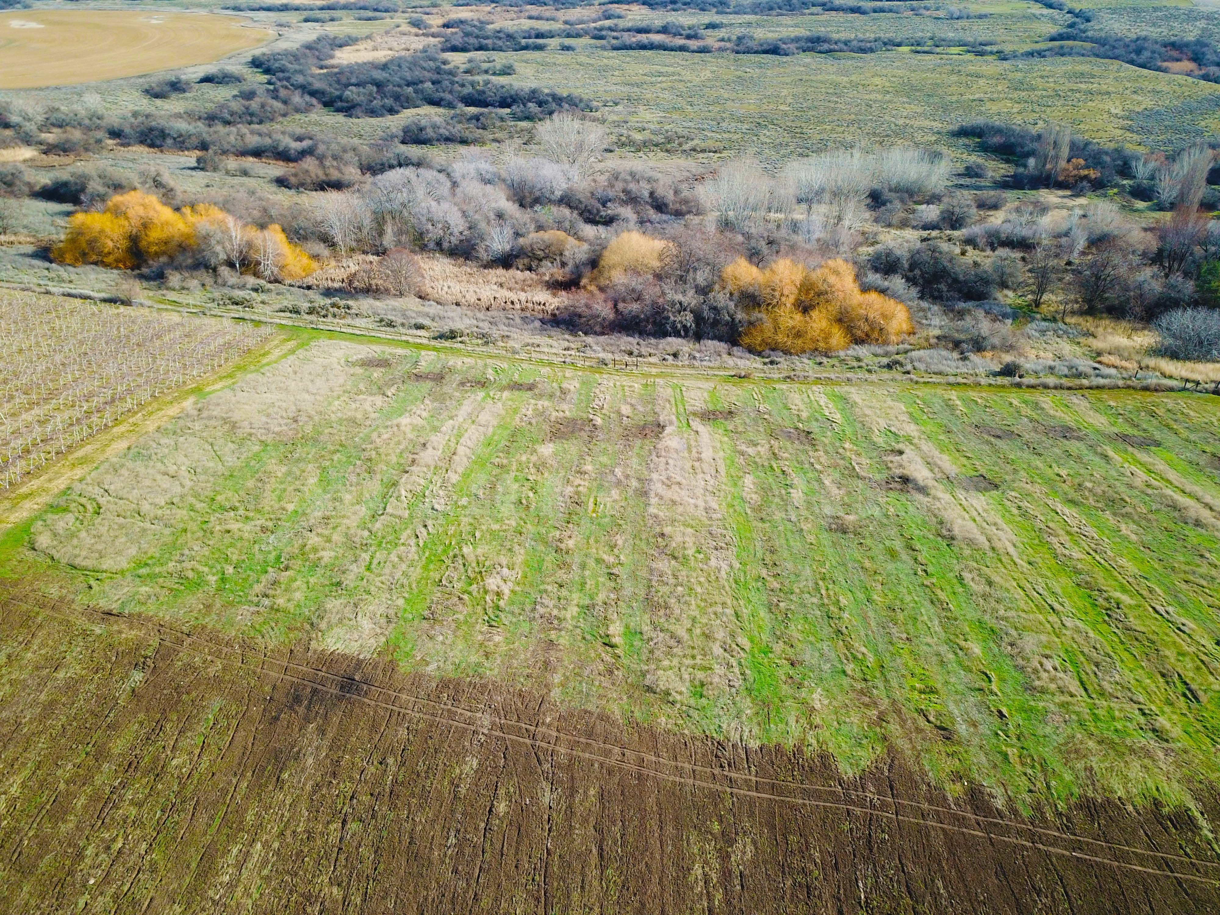 Best Price in County for Productive Orchard