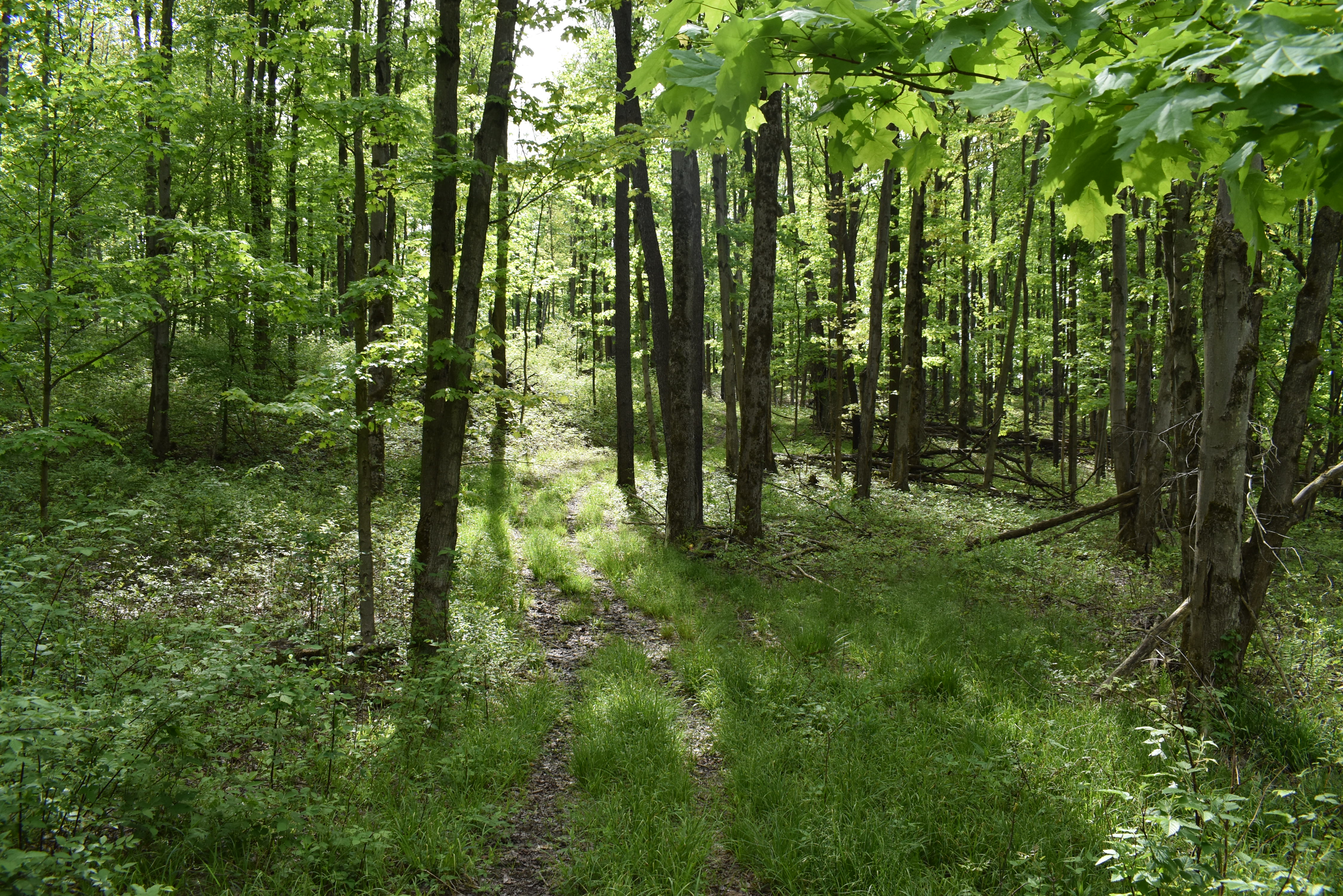 Listing Image 16