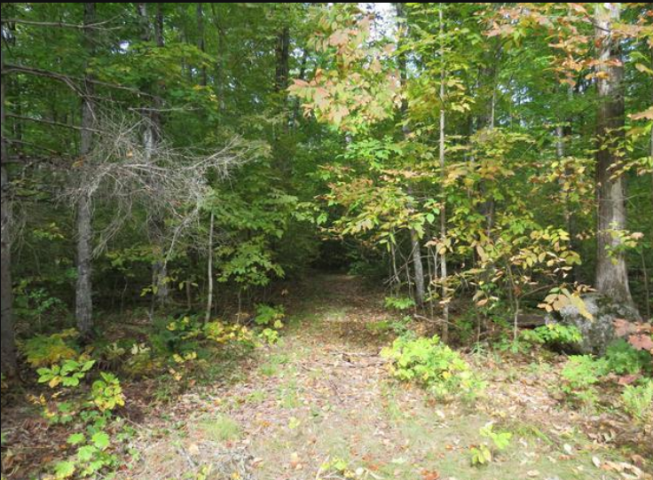 Listing Image 17