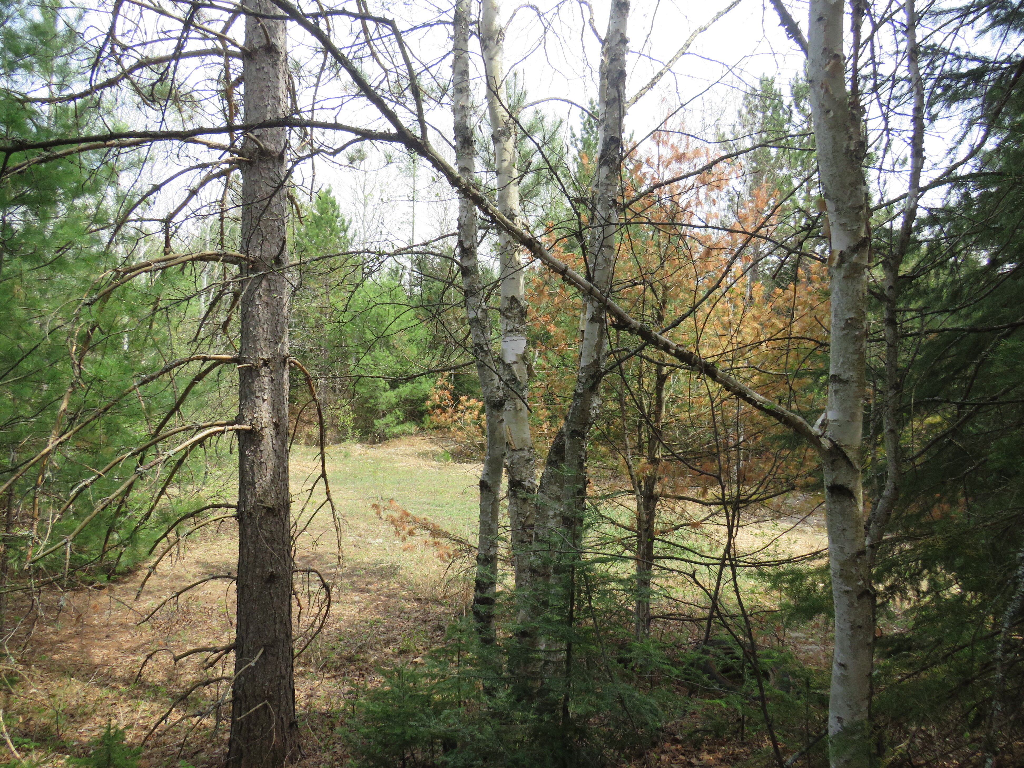 160 Acre Wilderness Retreat 50175391