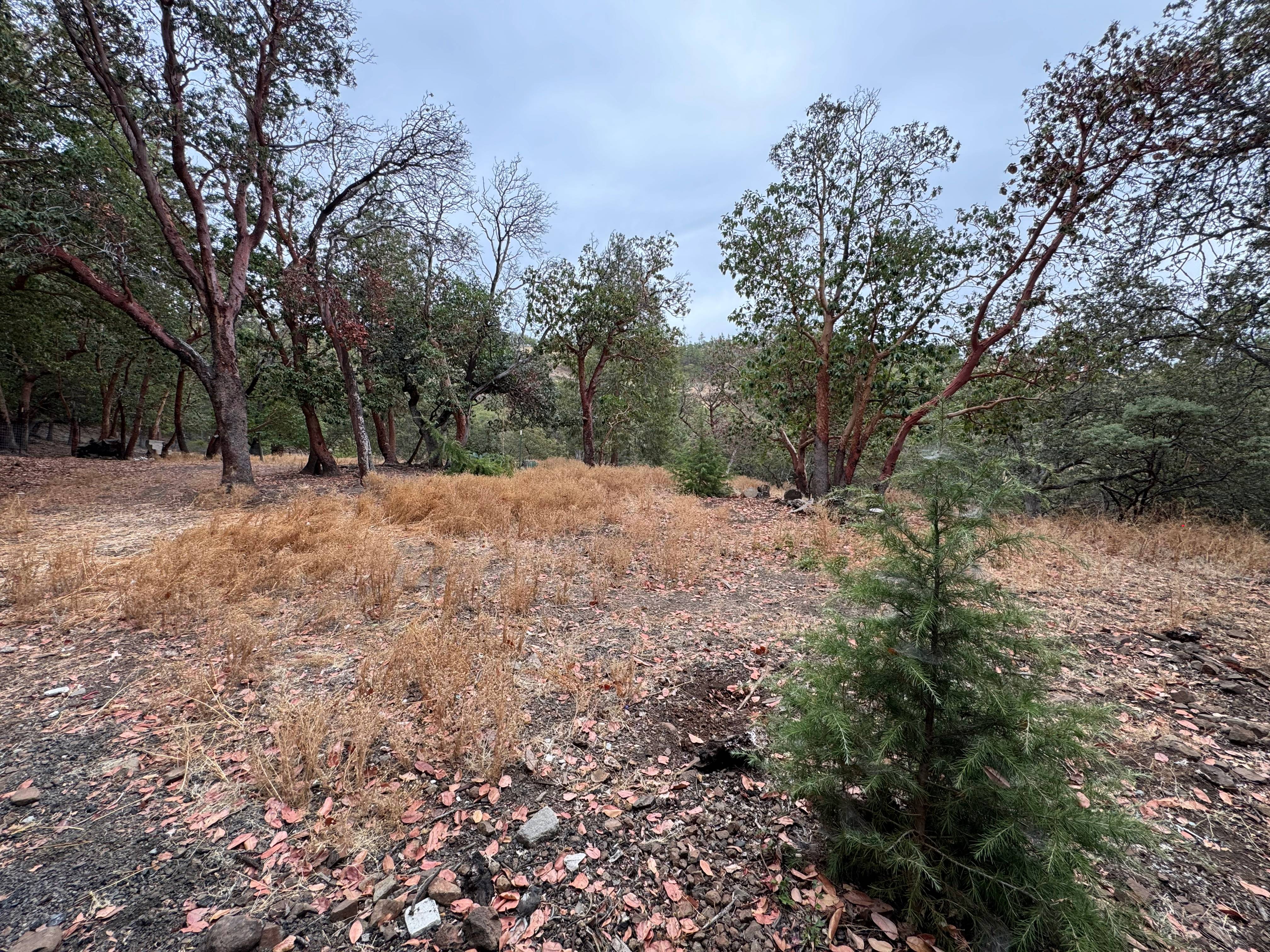 Listing Image 4