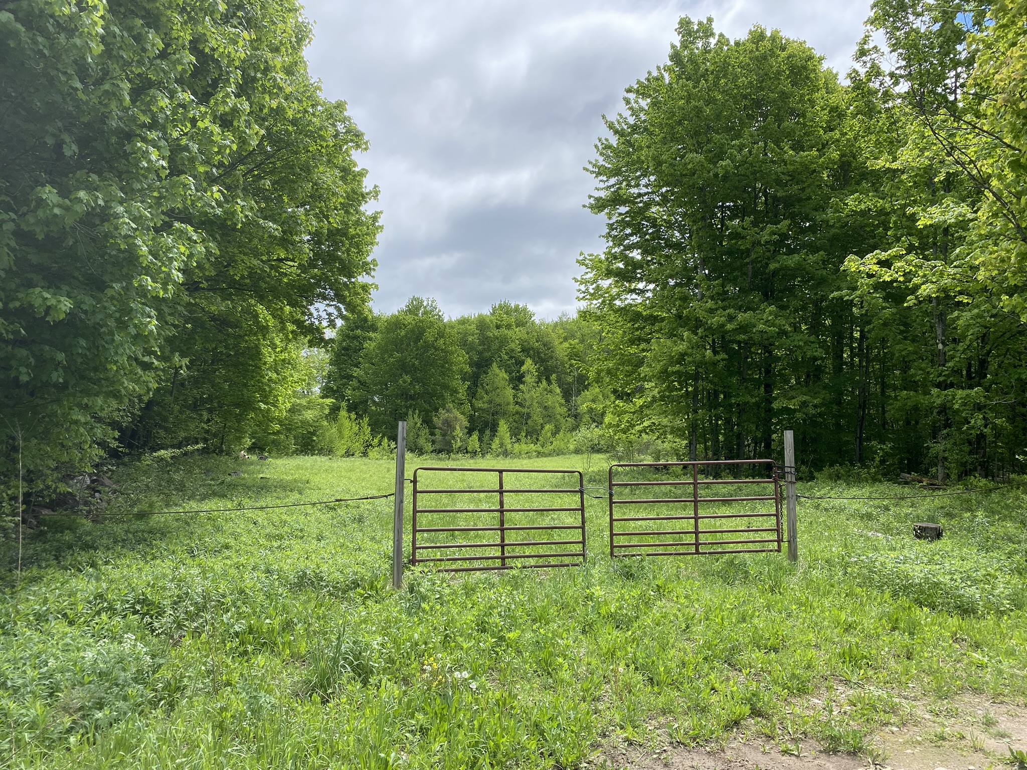 Little Salmon River Country