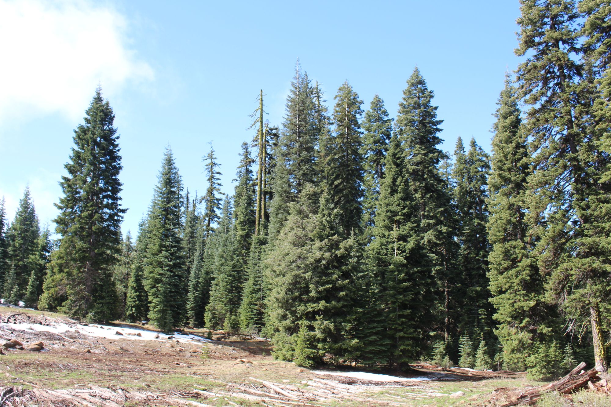 Keno Access Rd