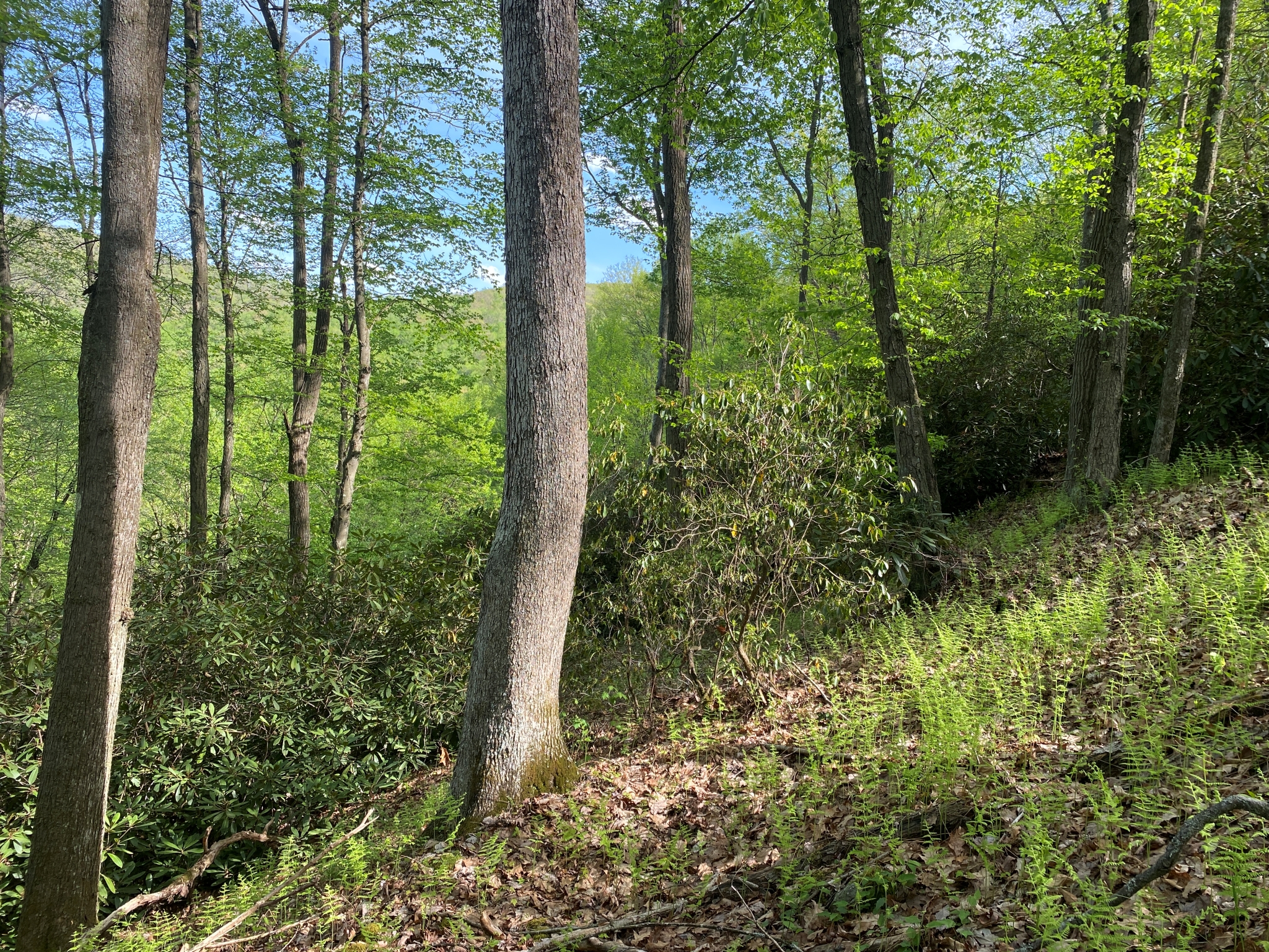 Listing Image 40