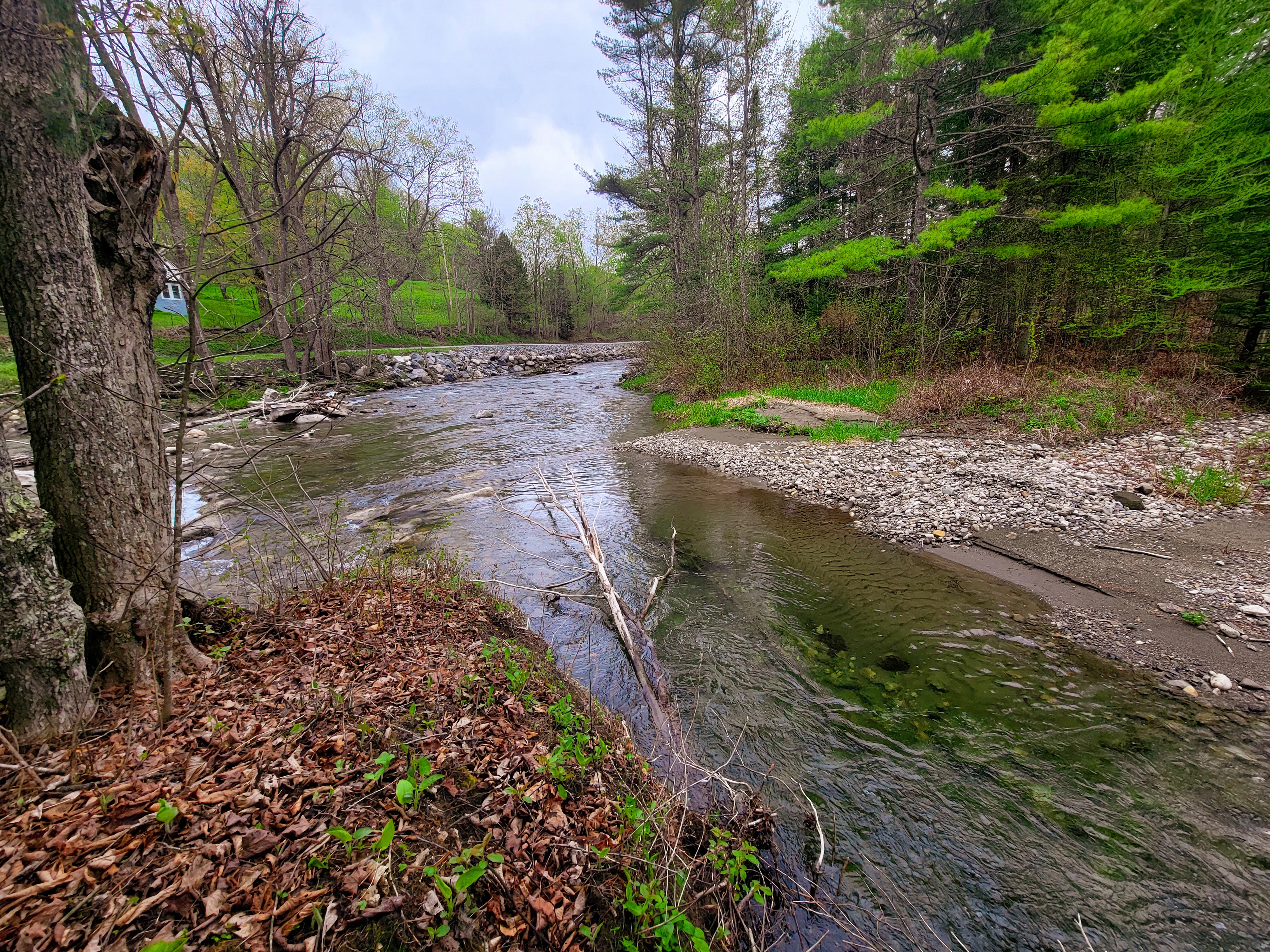12 Meadowbrook Ln - Chelsea