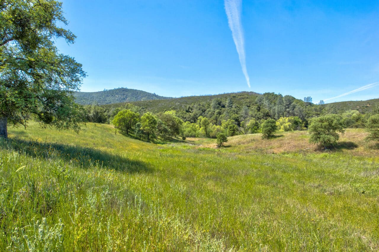 Listing Image 88