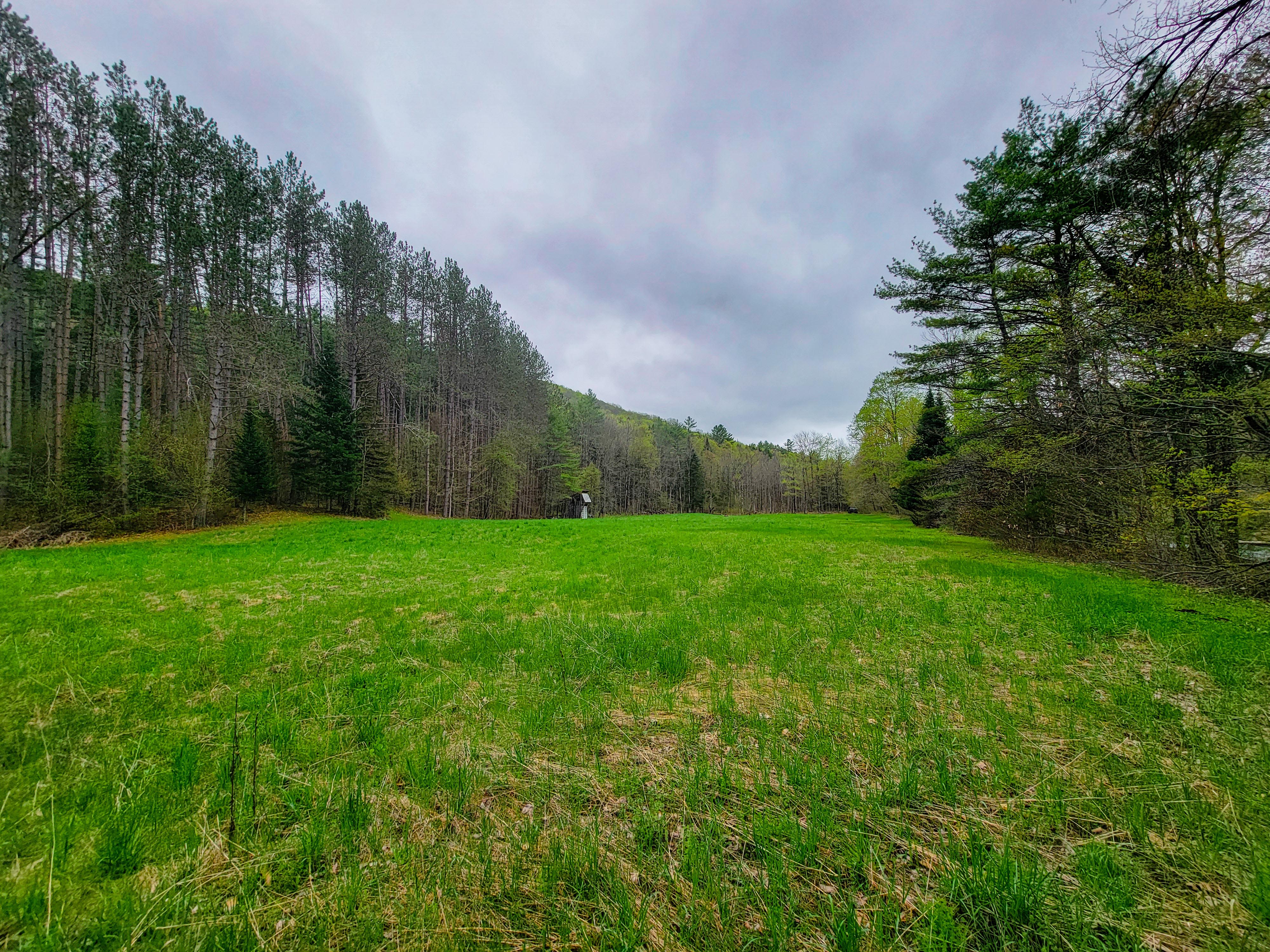 12 Meadowbrook Ln - Chelsea