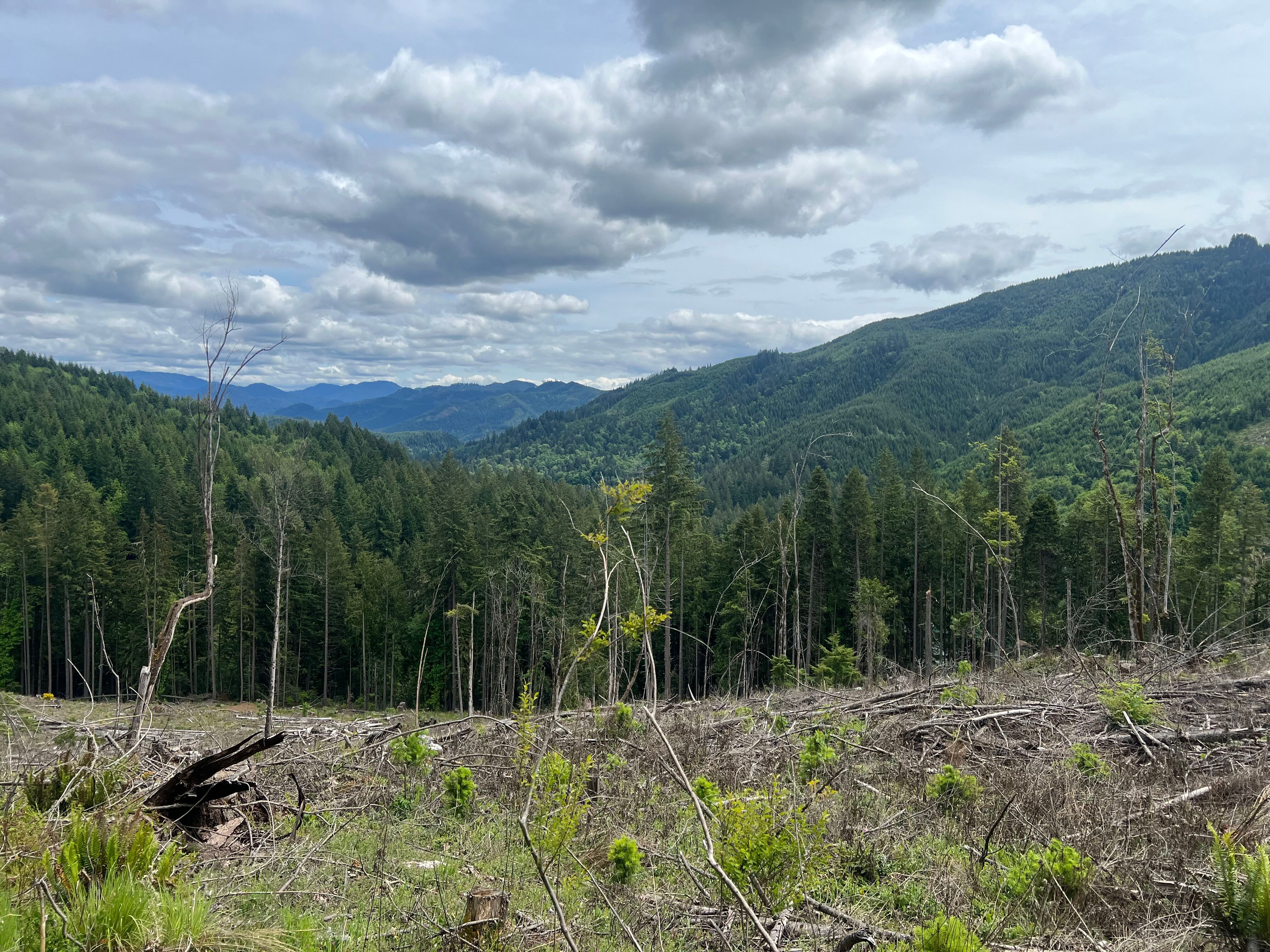 83715 Peninsula Rd Fall Creek OR