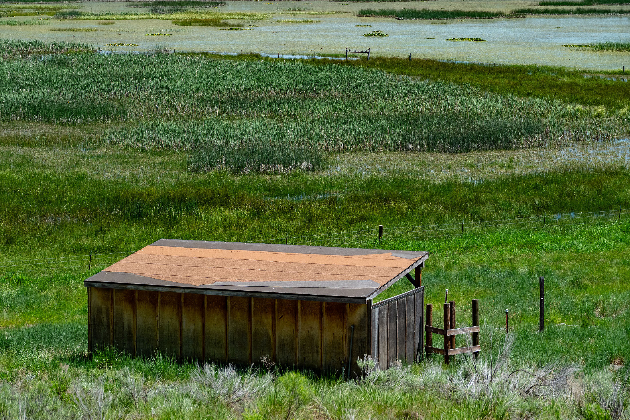 Klamath Marsh Retreat