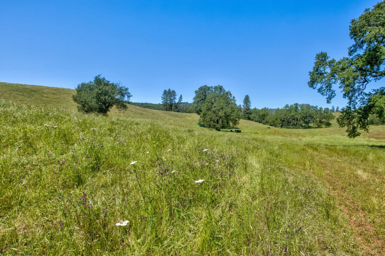 Listing Image 60