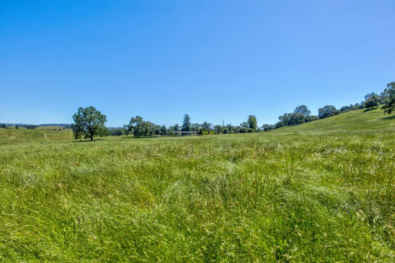 Listing Image 73