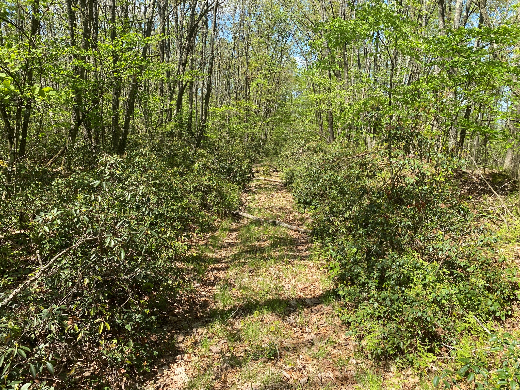 Listing Image 22