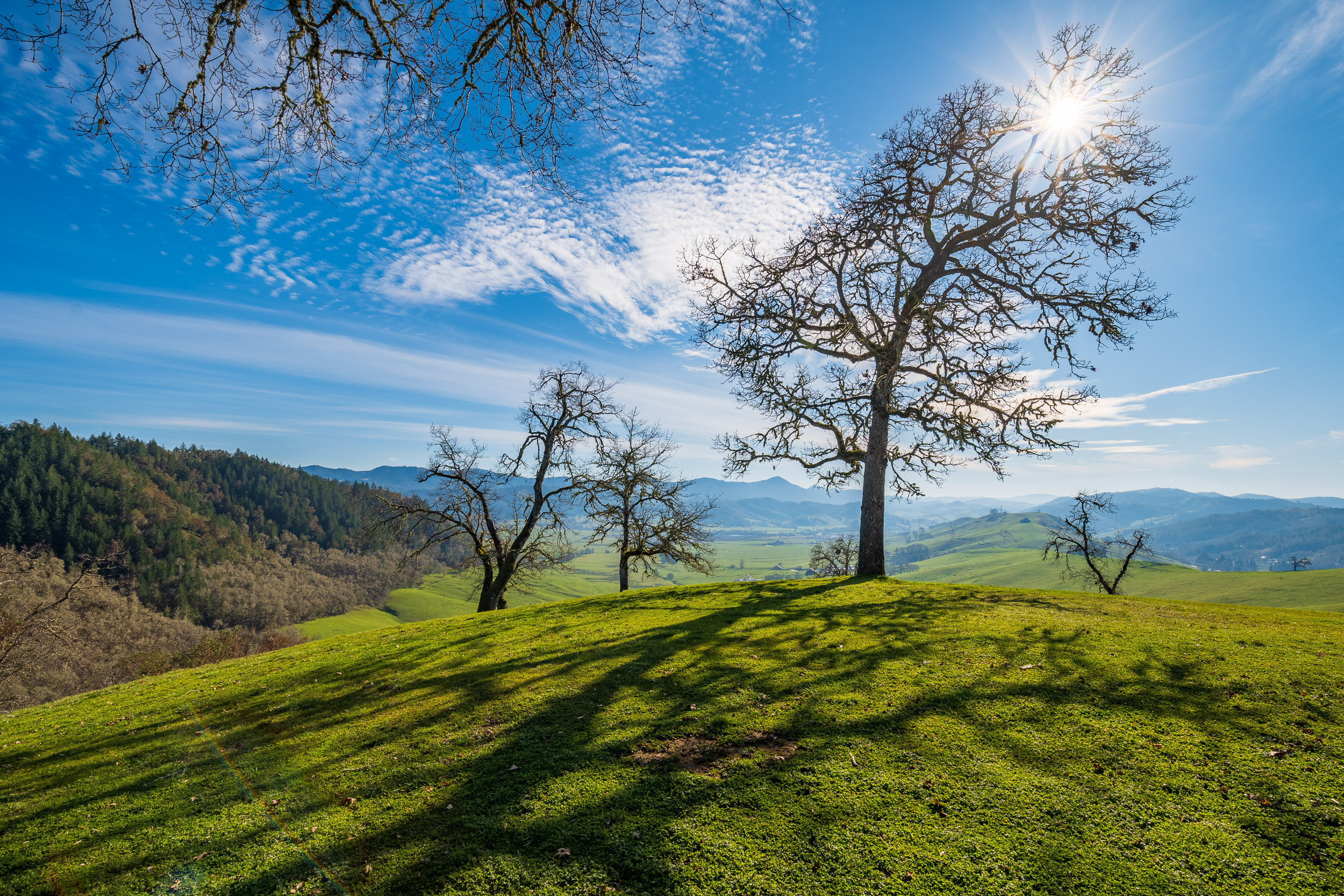 N Umpqua Ranch - 10181 N Umpqua Hwy
