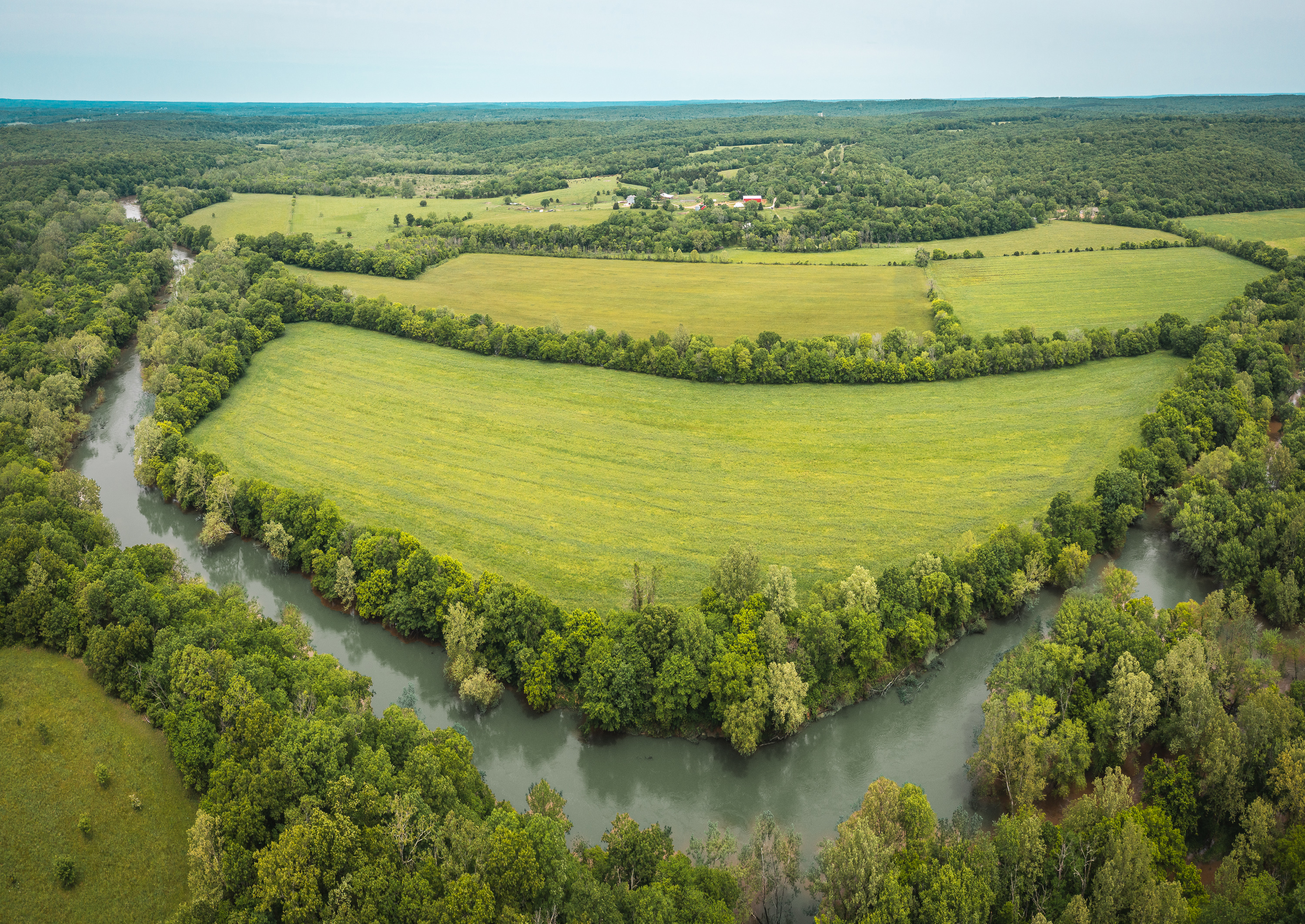 Gasconade Angus Ranch