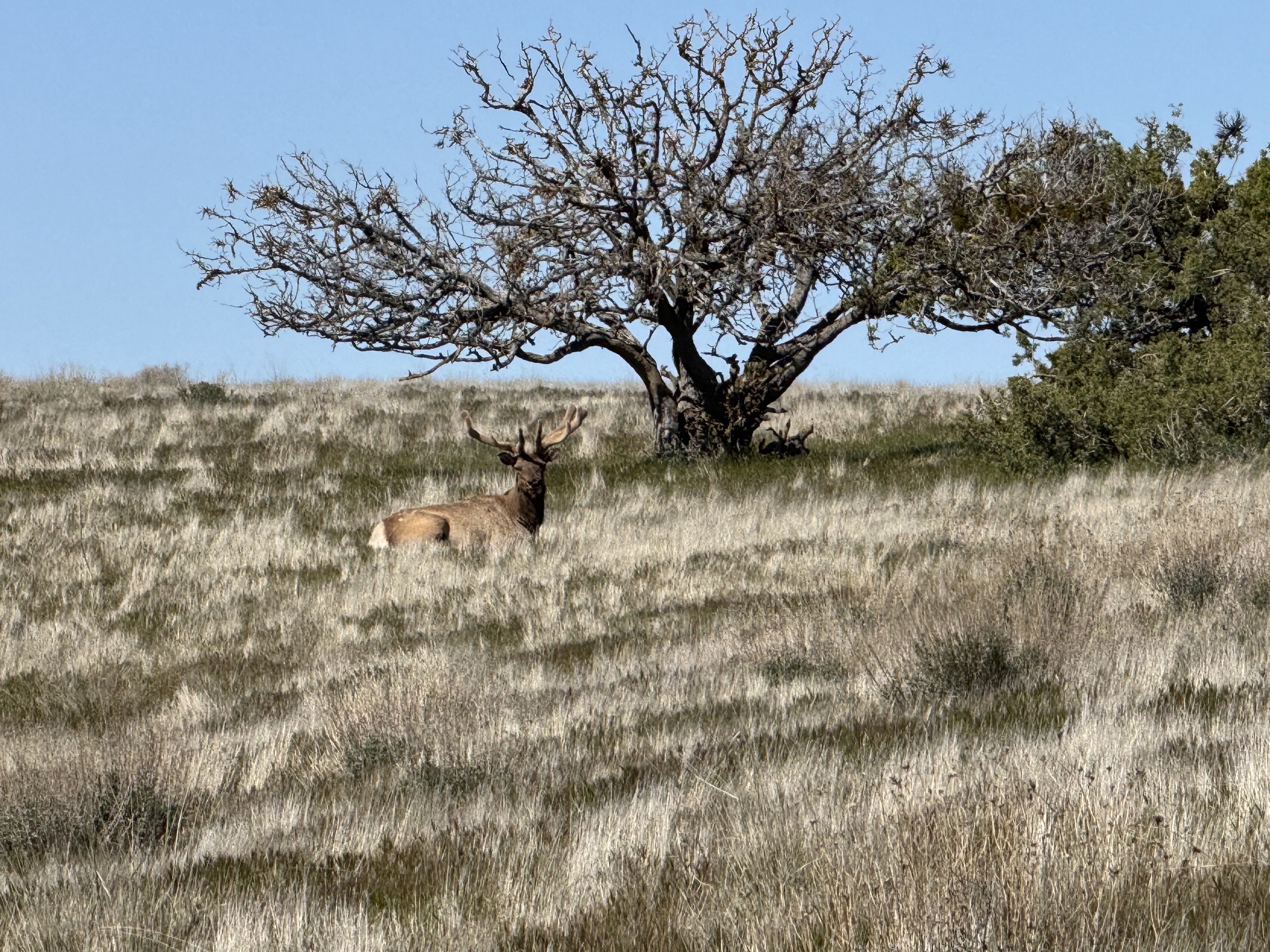 Pritchard Sumner Ranch