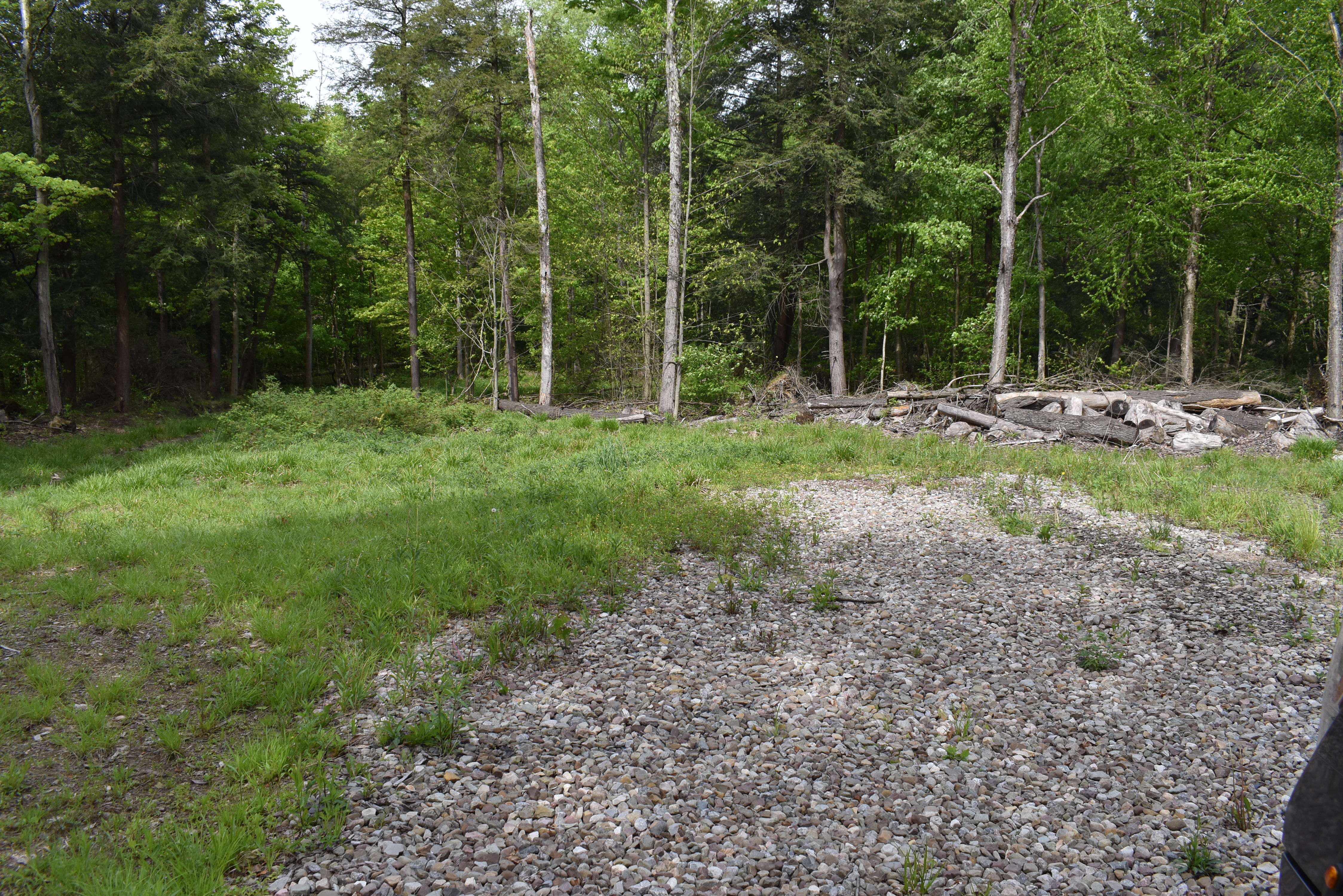 Listing Image 24