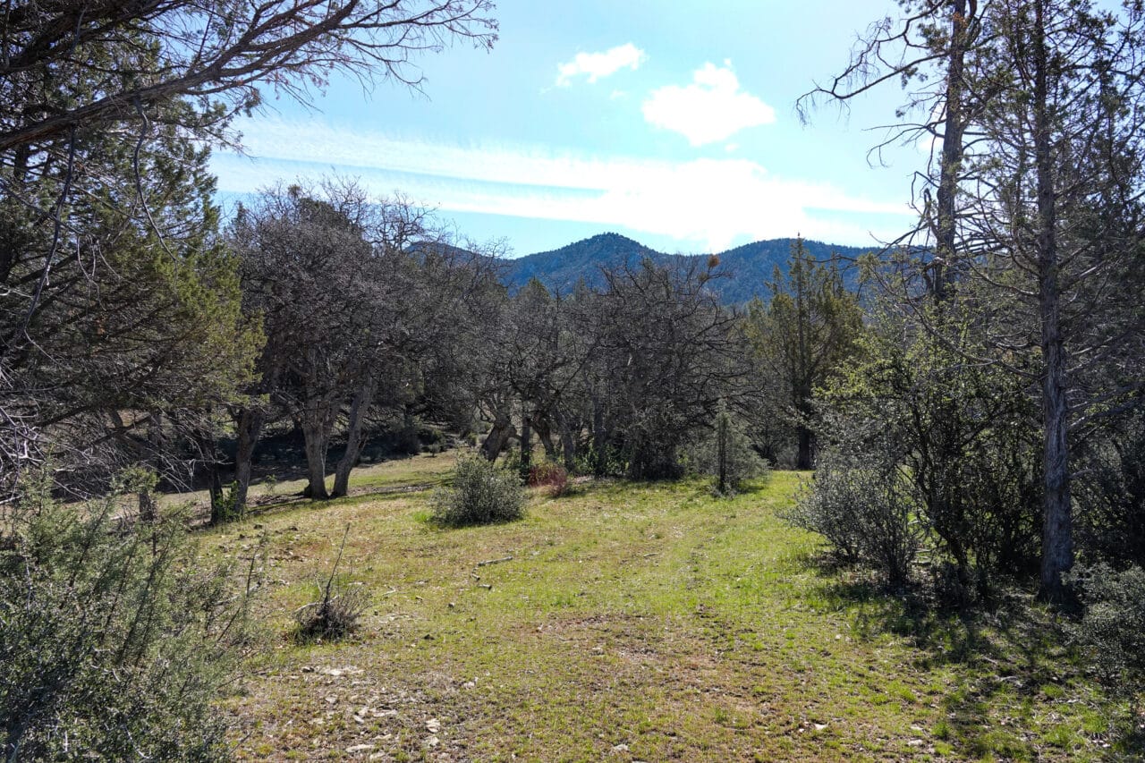 Blacktail Hills Retreat