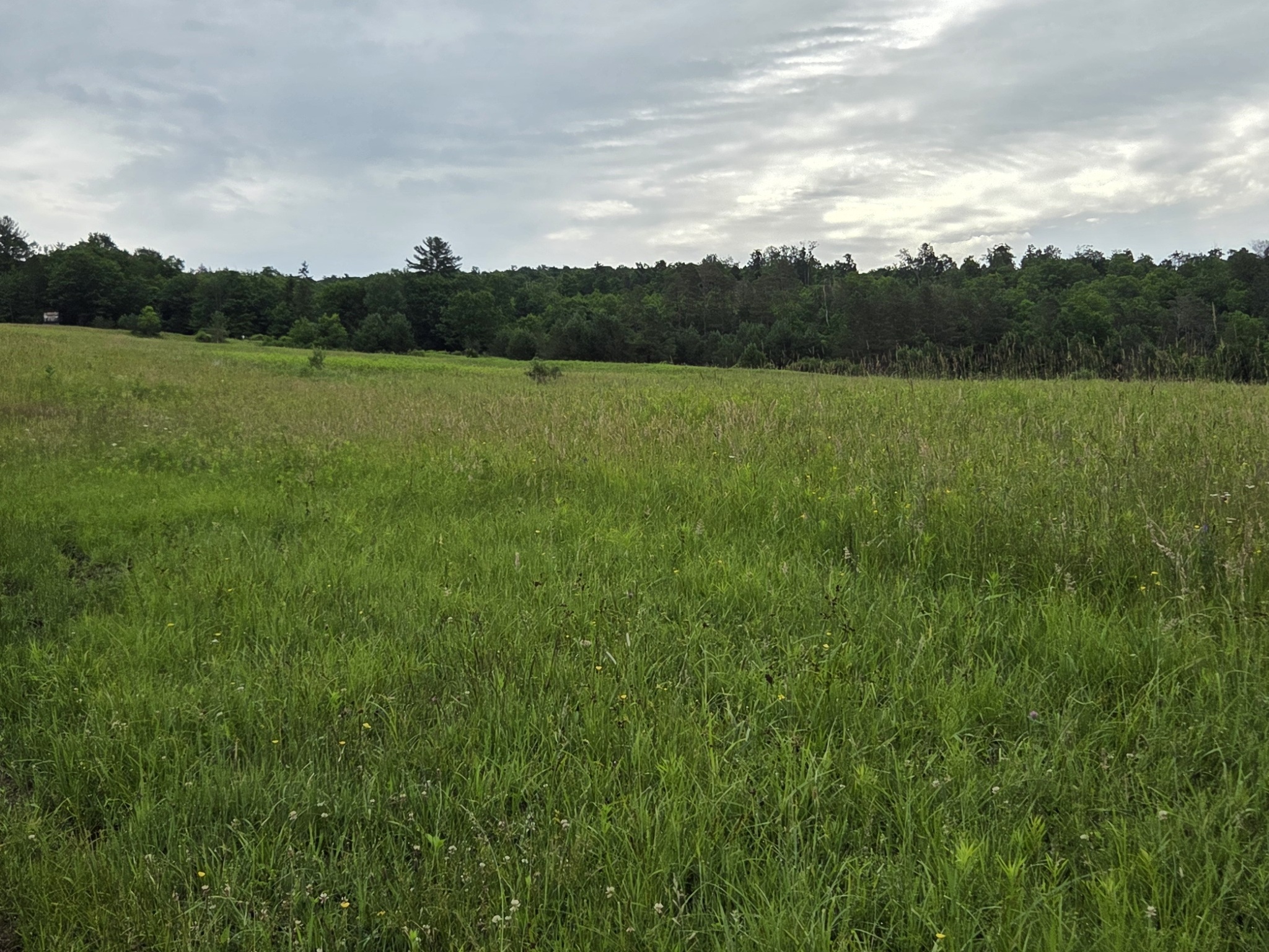 Listing Image 39