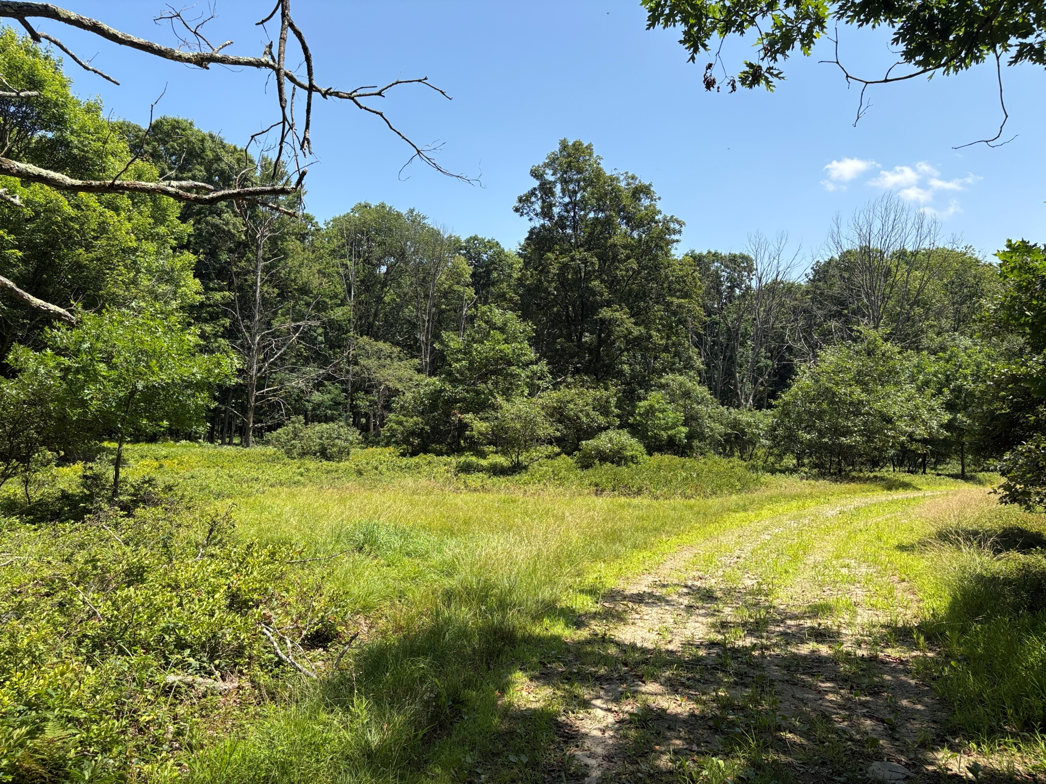 Listing Image 57