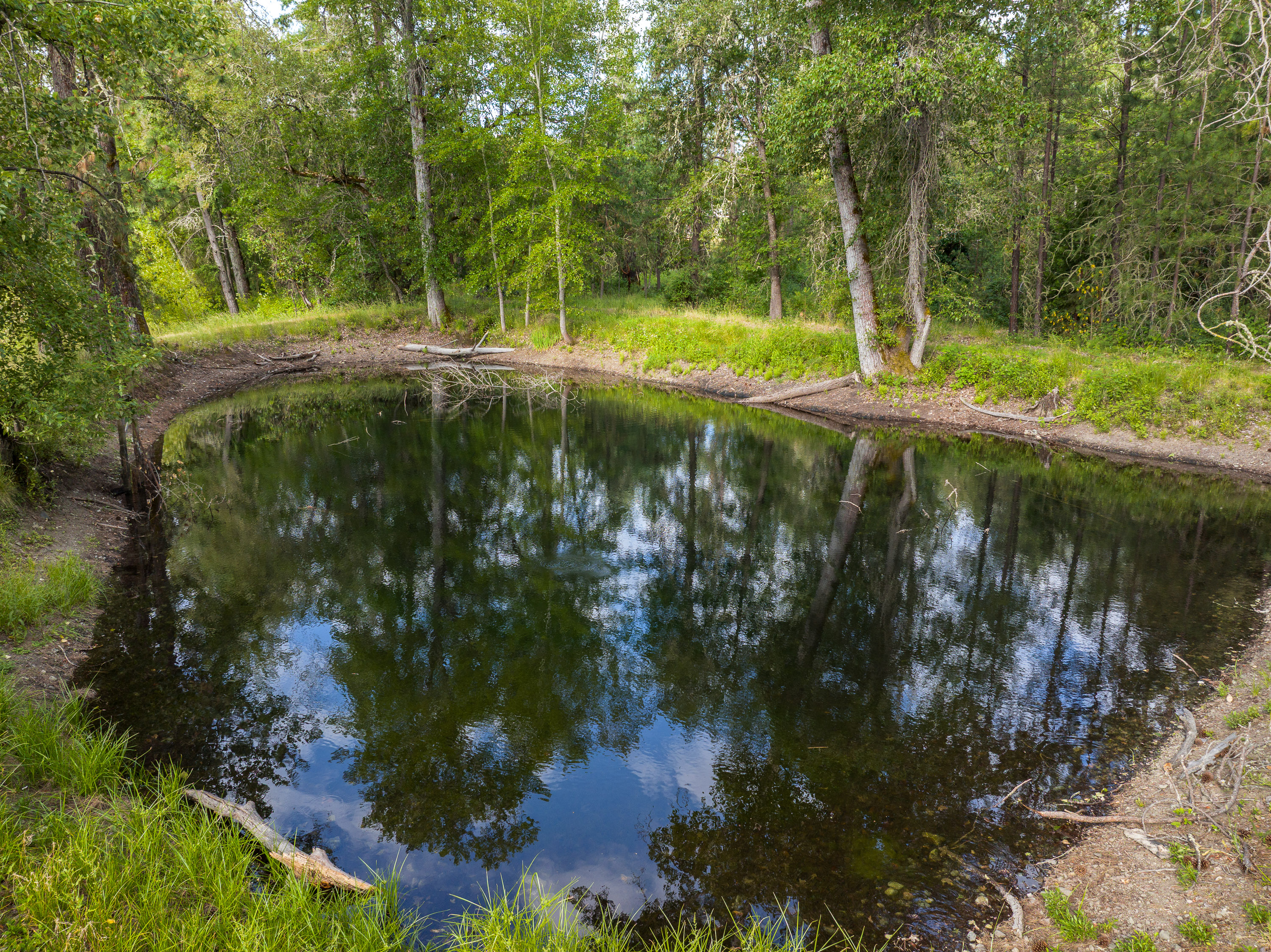 701 Messinger Road - Benton Family Ranch - 112 Acres along Williams Creek