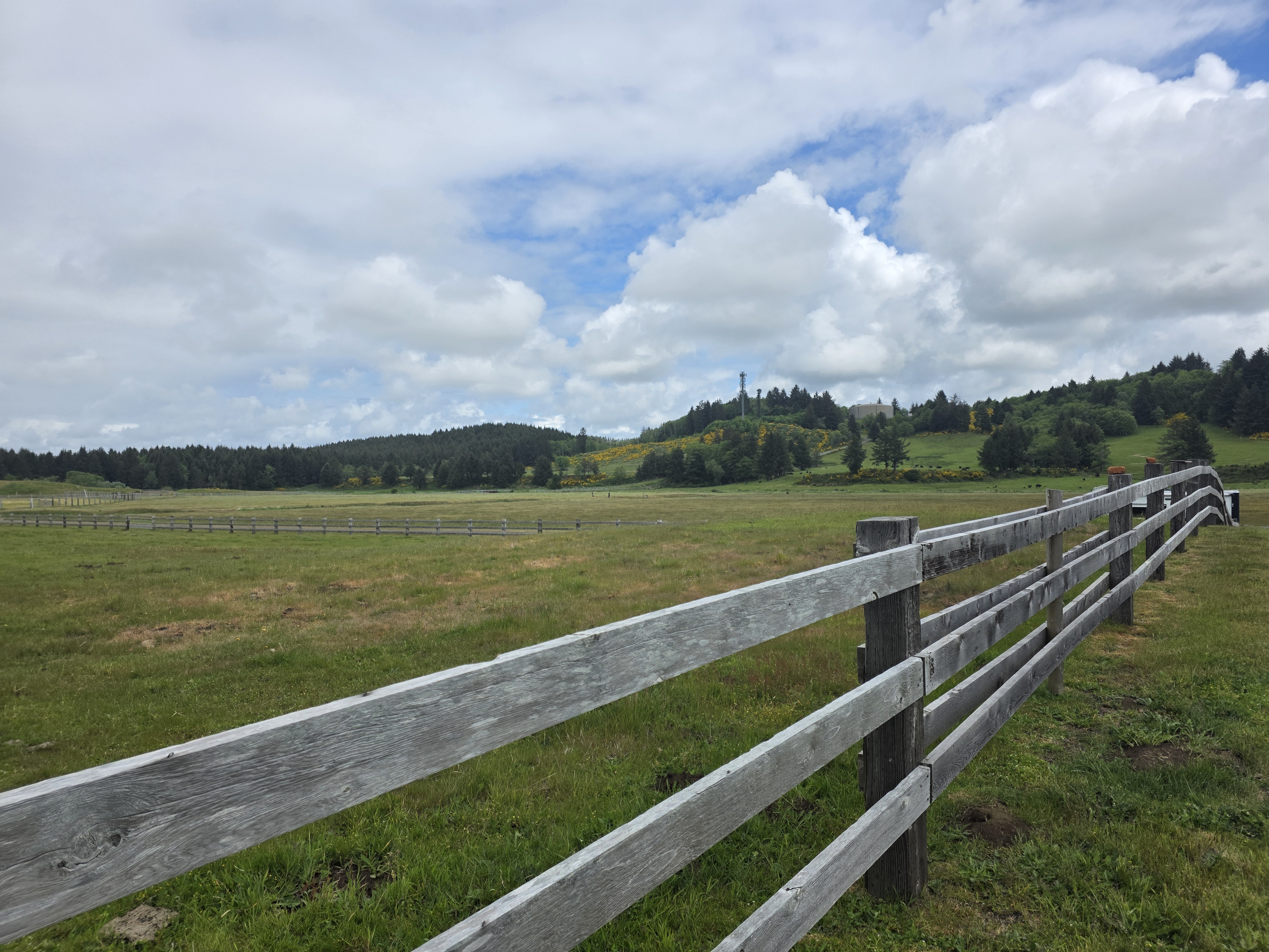 Tagg Ranch