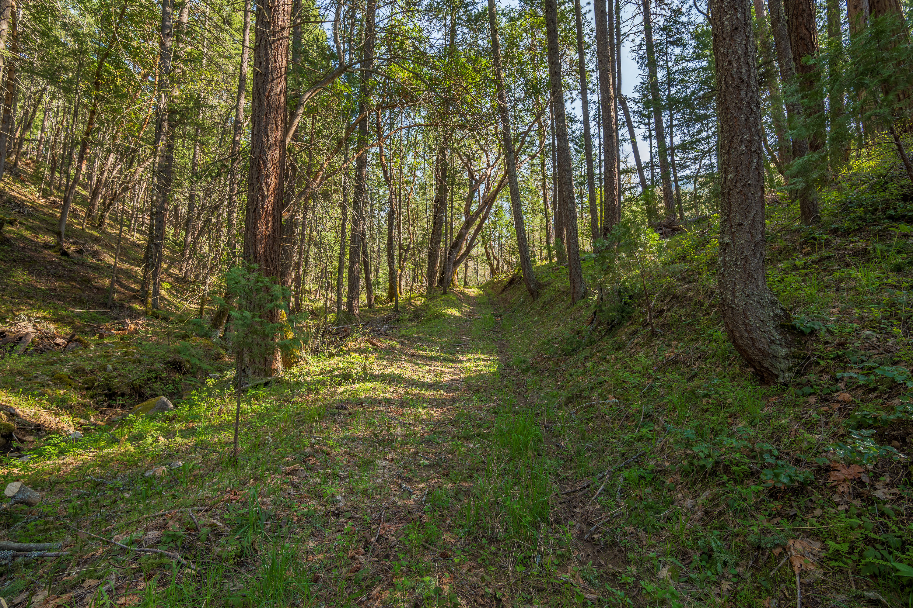 1694 Old Siskiyou Hwy