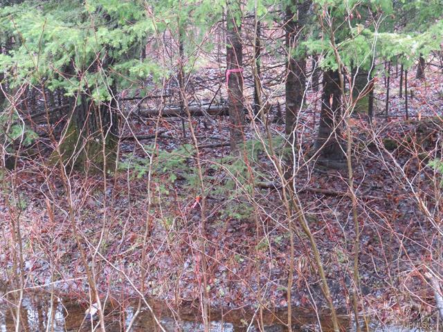 80 Acre Woodland Retreat 50173805