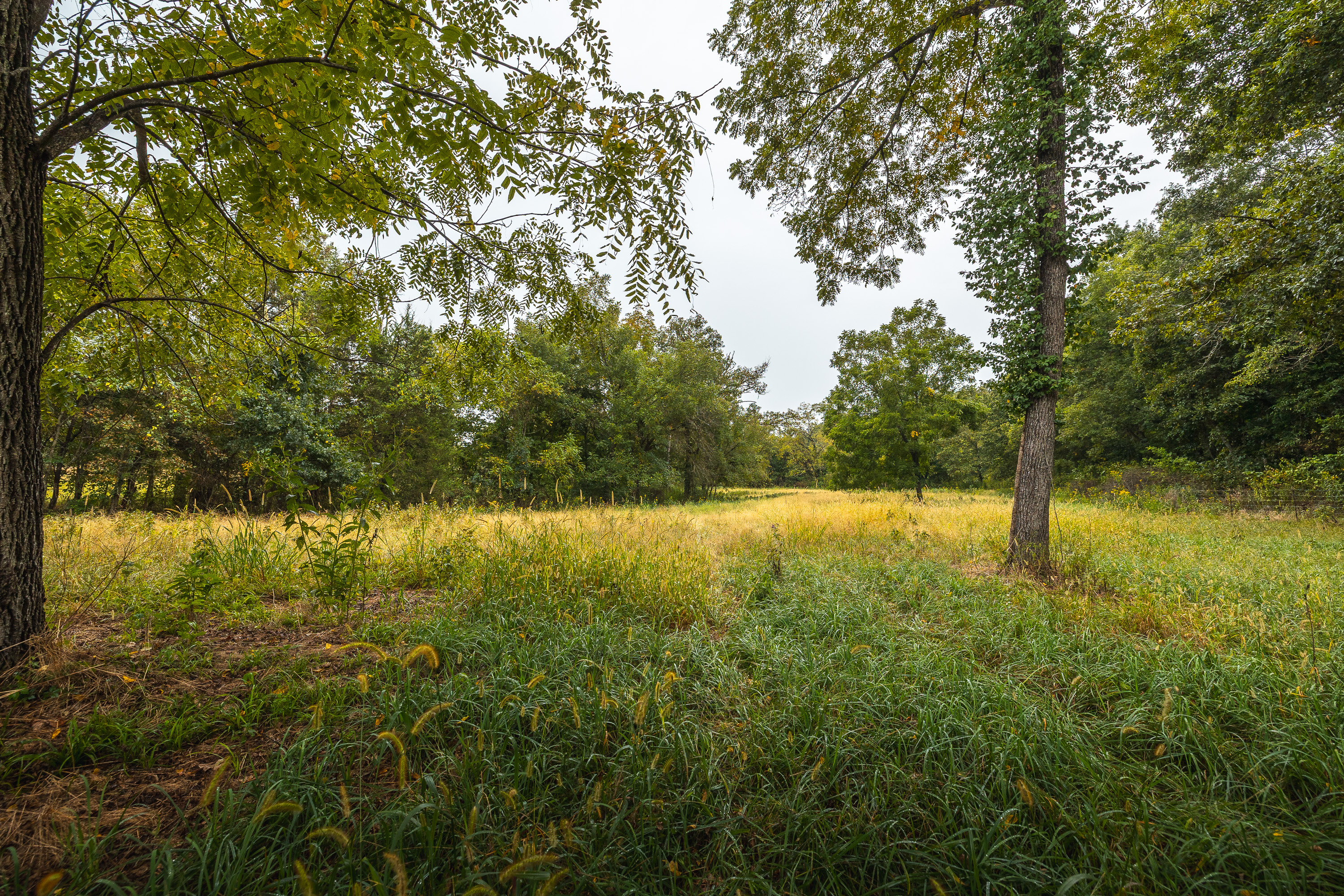 Twin Creek Farm