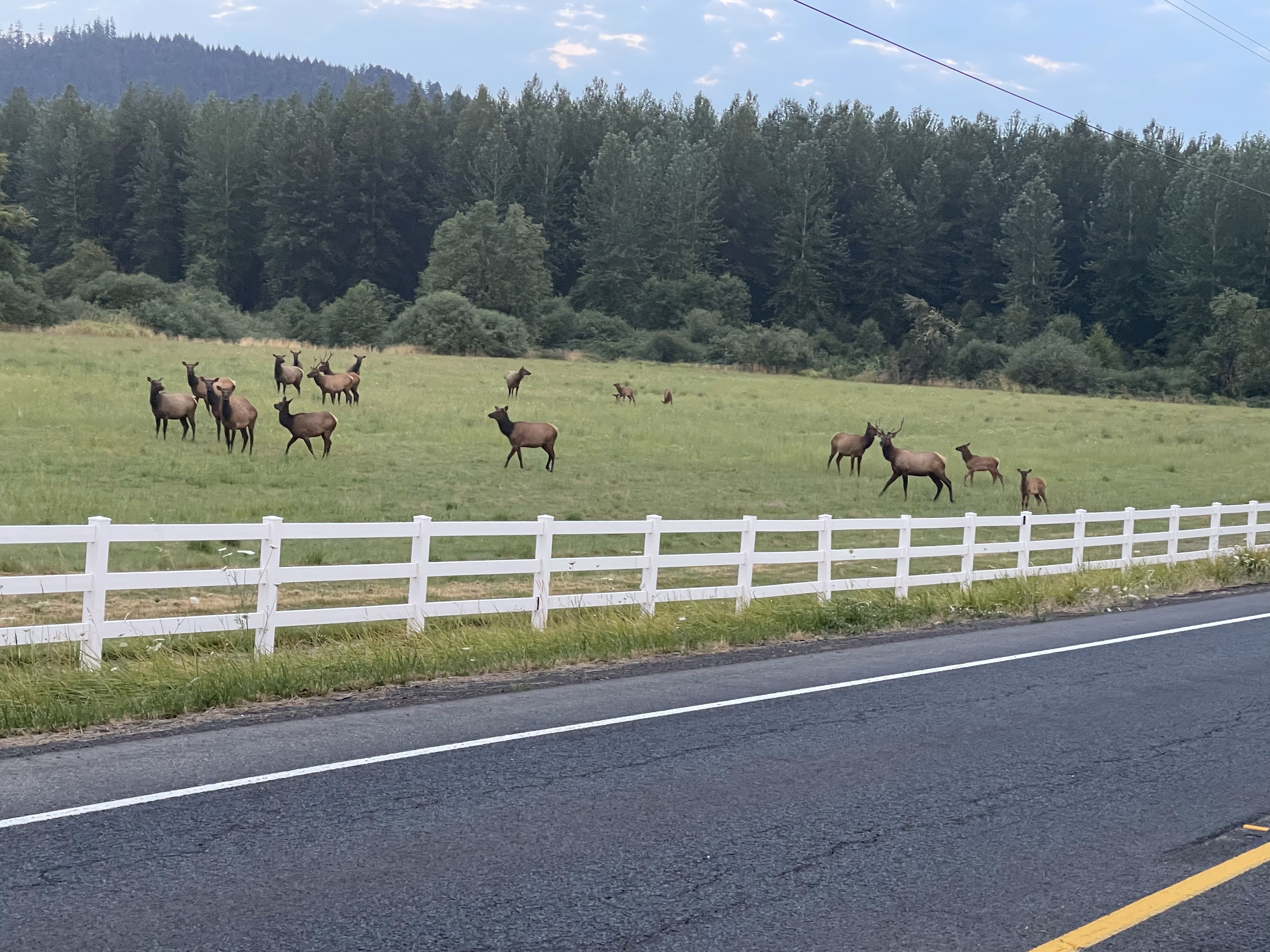 Kielblock Ranch
