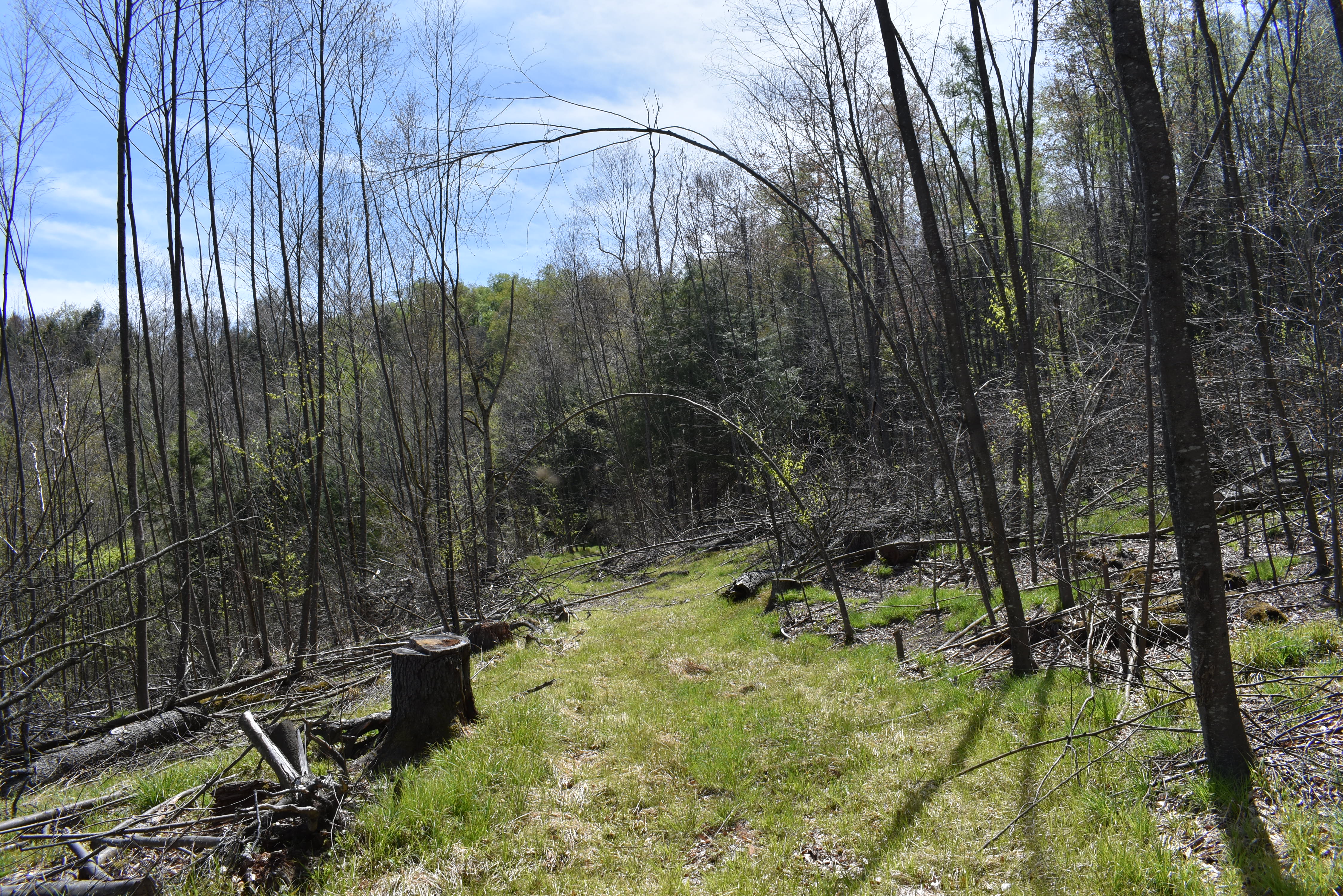 Listing Image 14