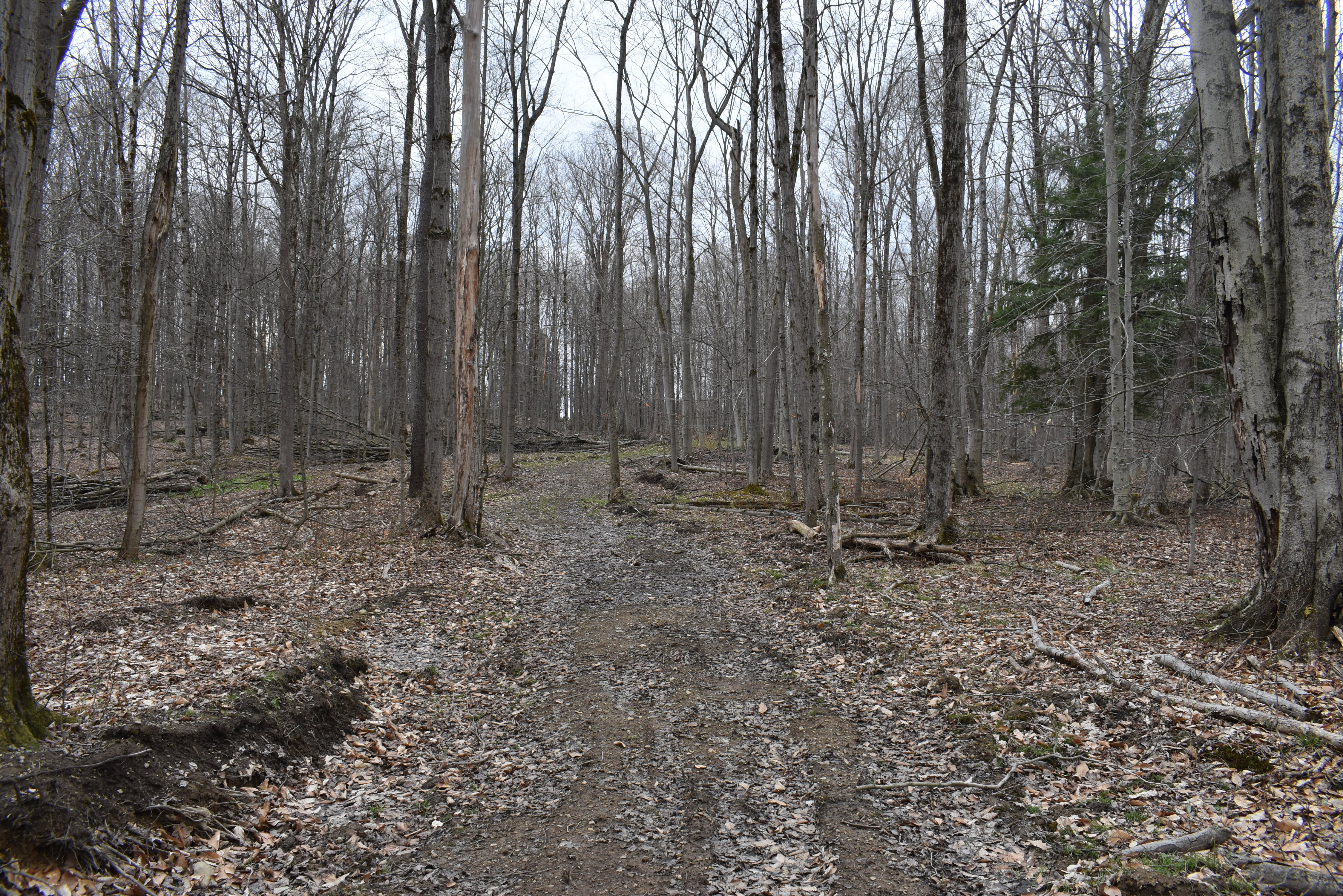 Hammond Hill Hideaway