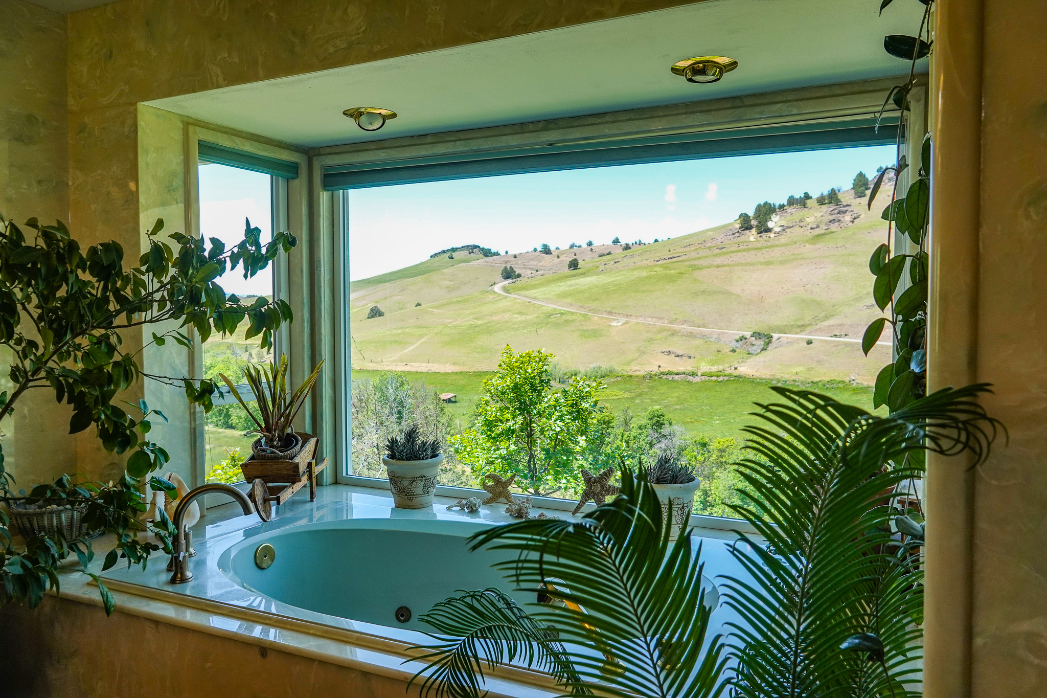 MJ Ranch