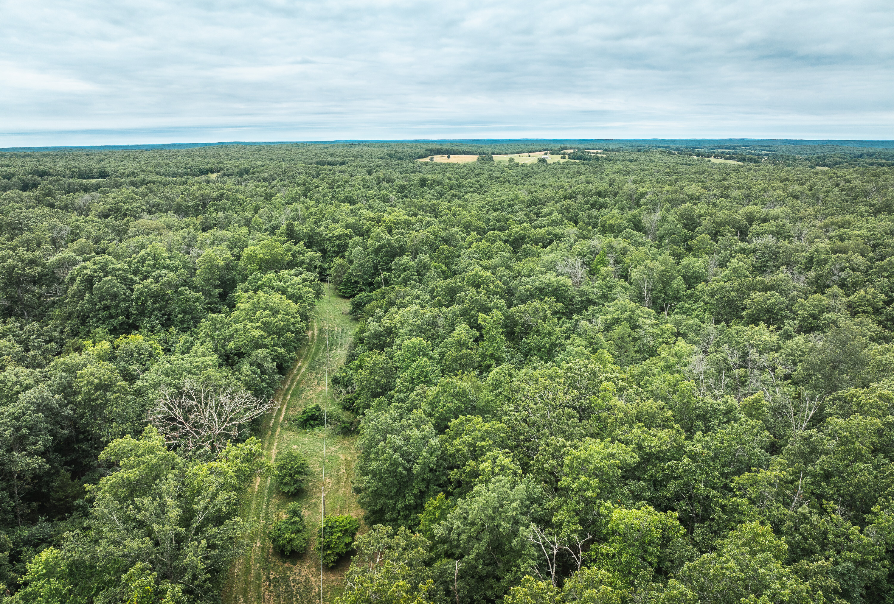 Phelps County Land & Timber 2 Tracts