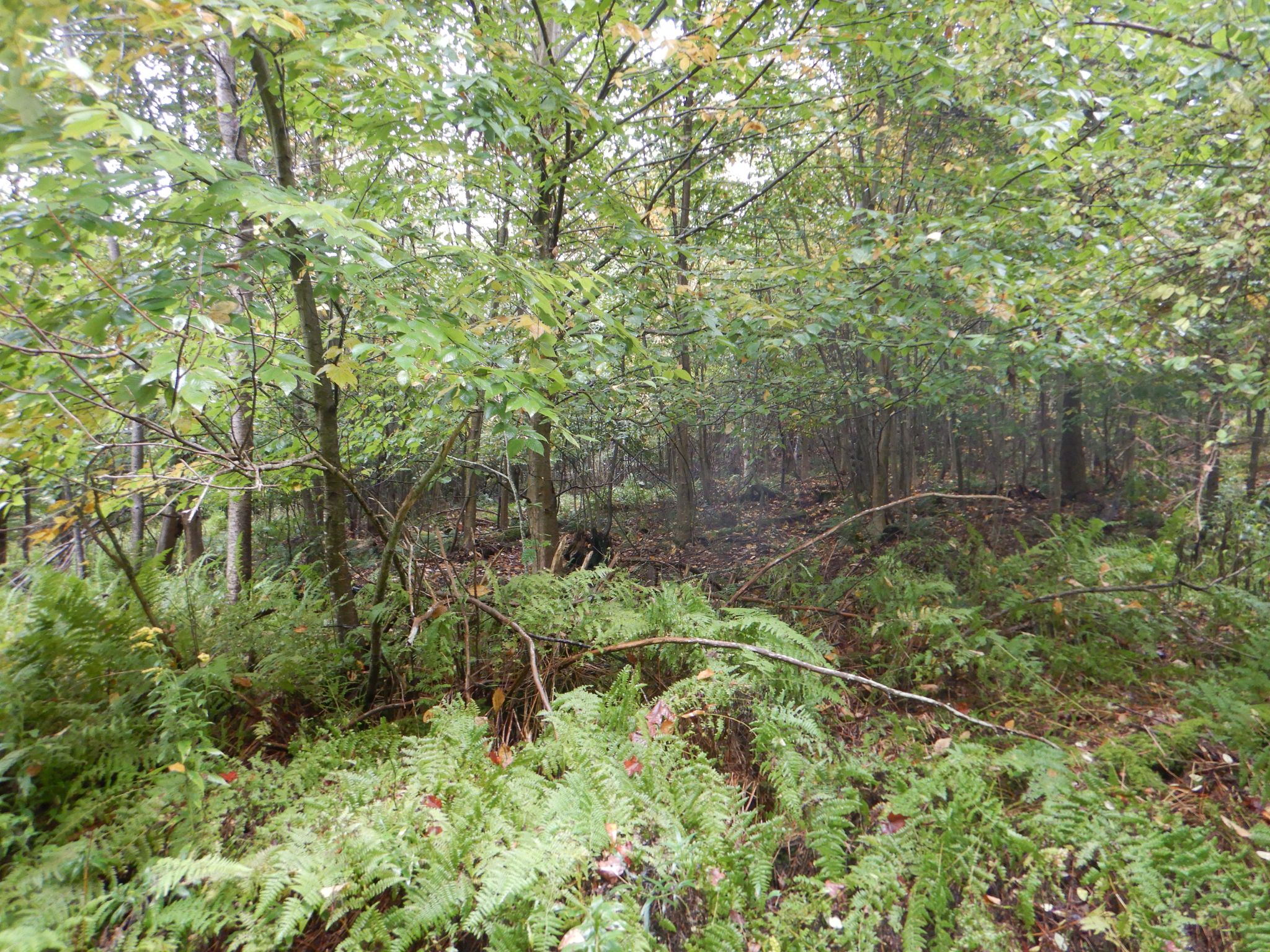 Listing Image 26