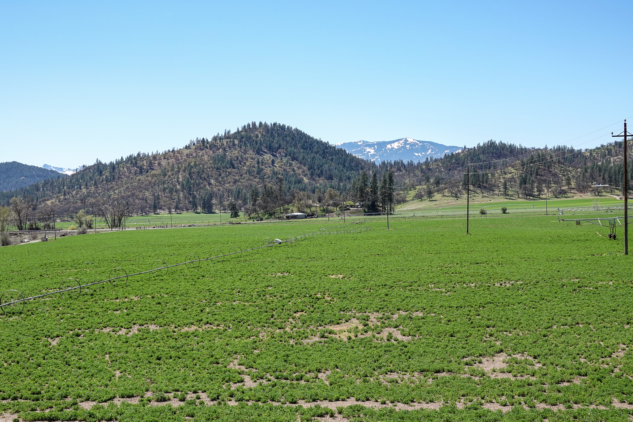 Kraus and Sons Ranch