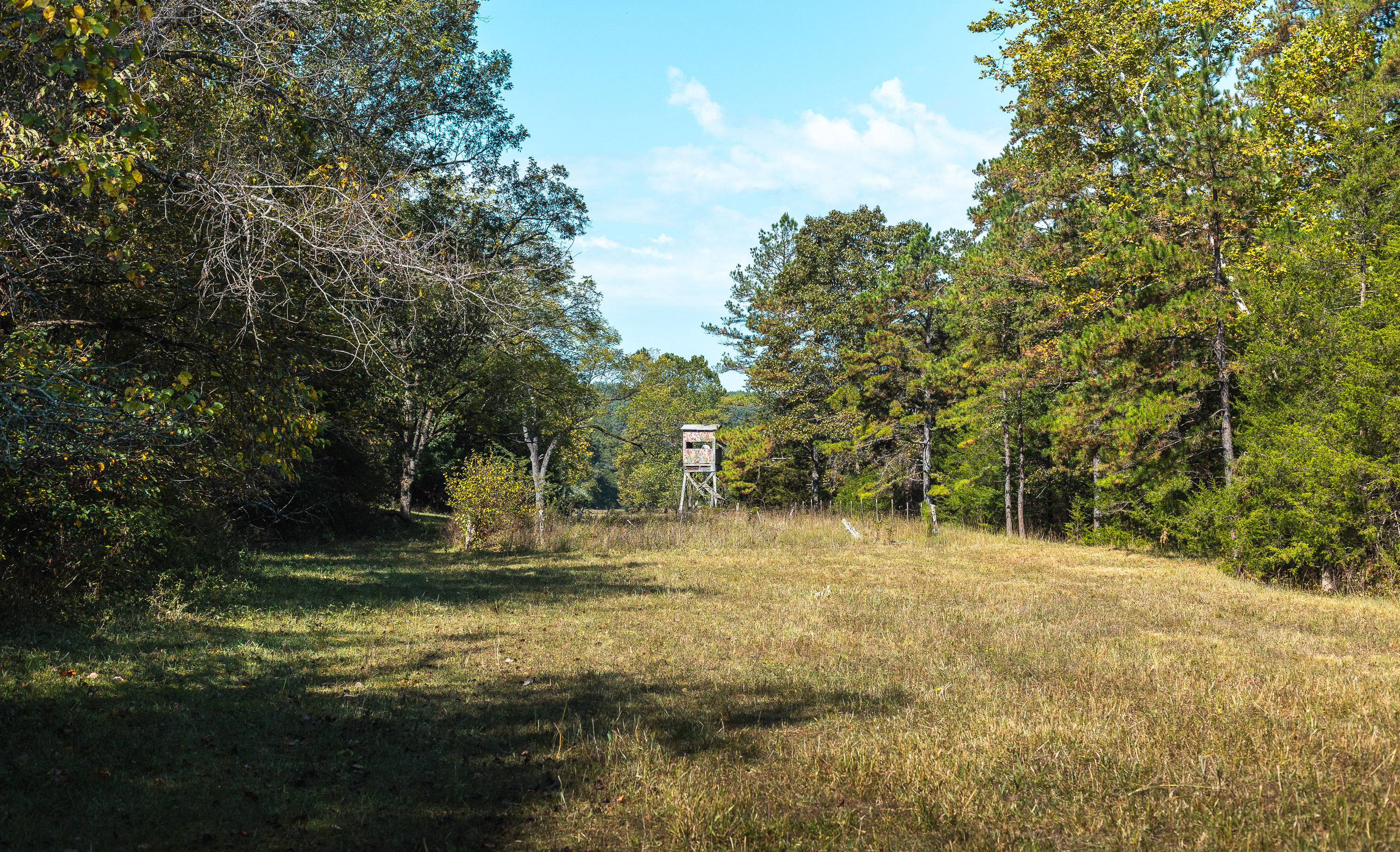 Ashley Creek Ranch 329