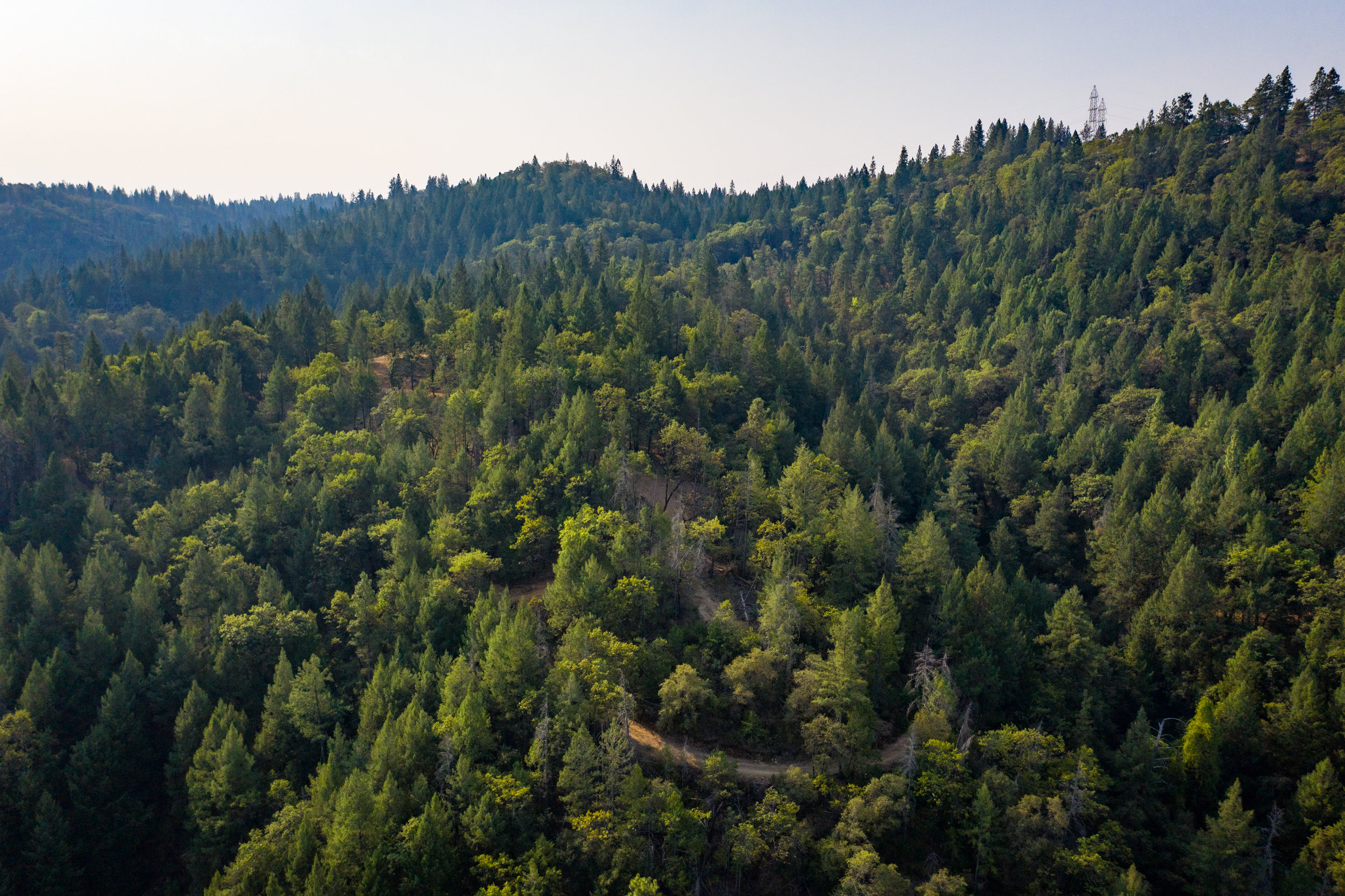 American River Camp Property