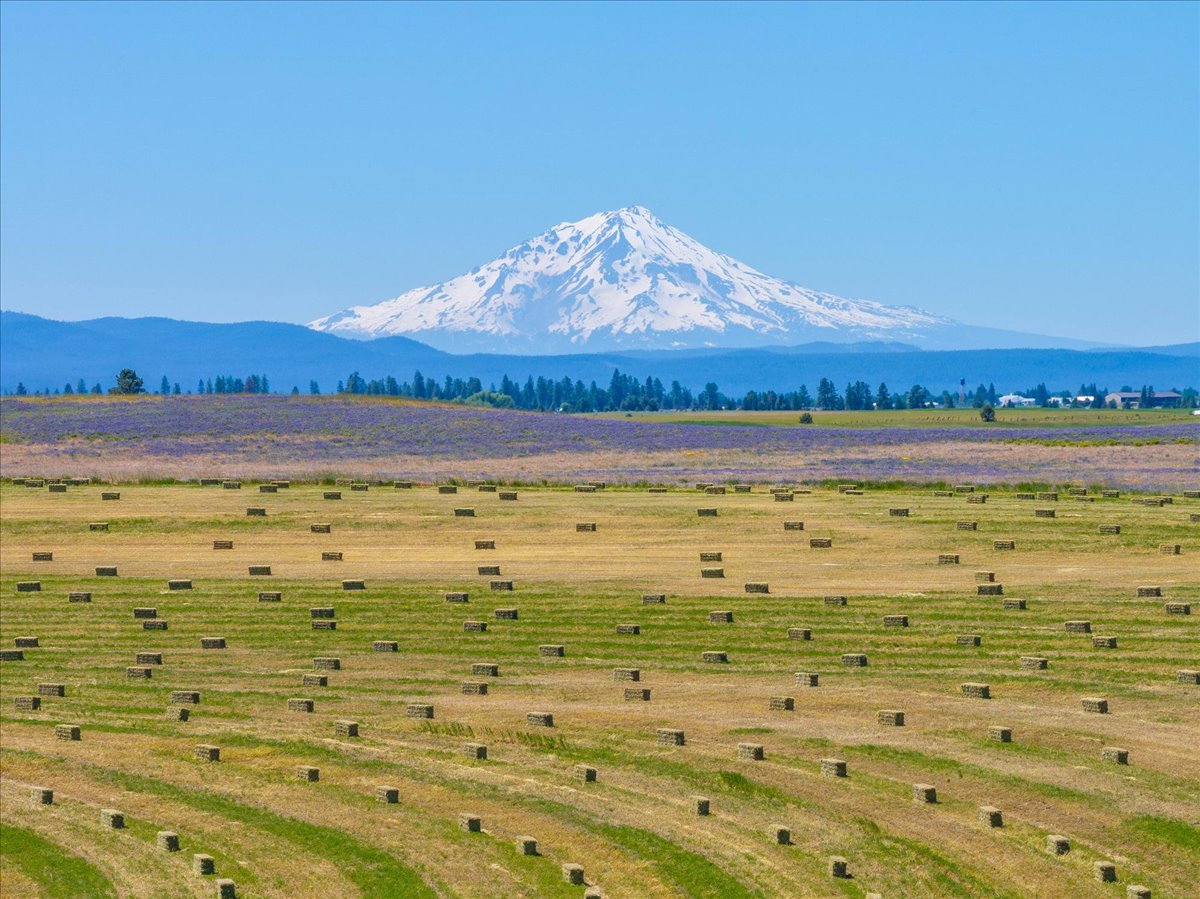 Mystic Mountain Ranch