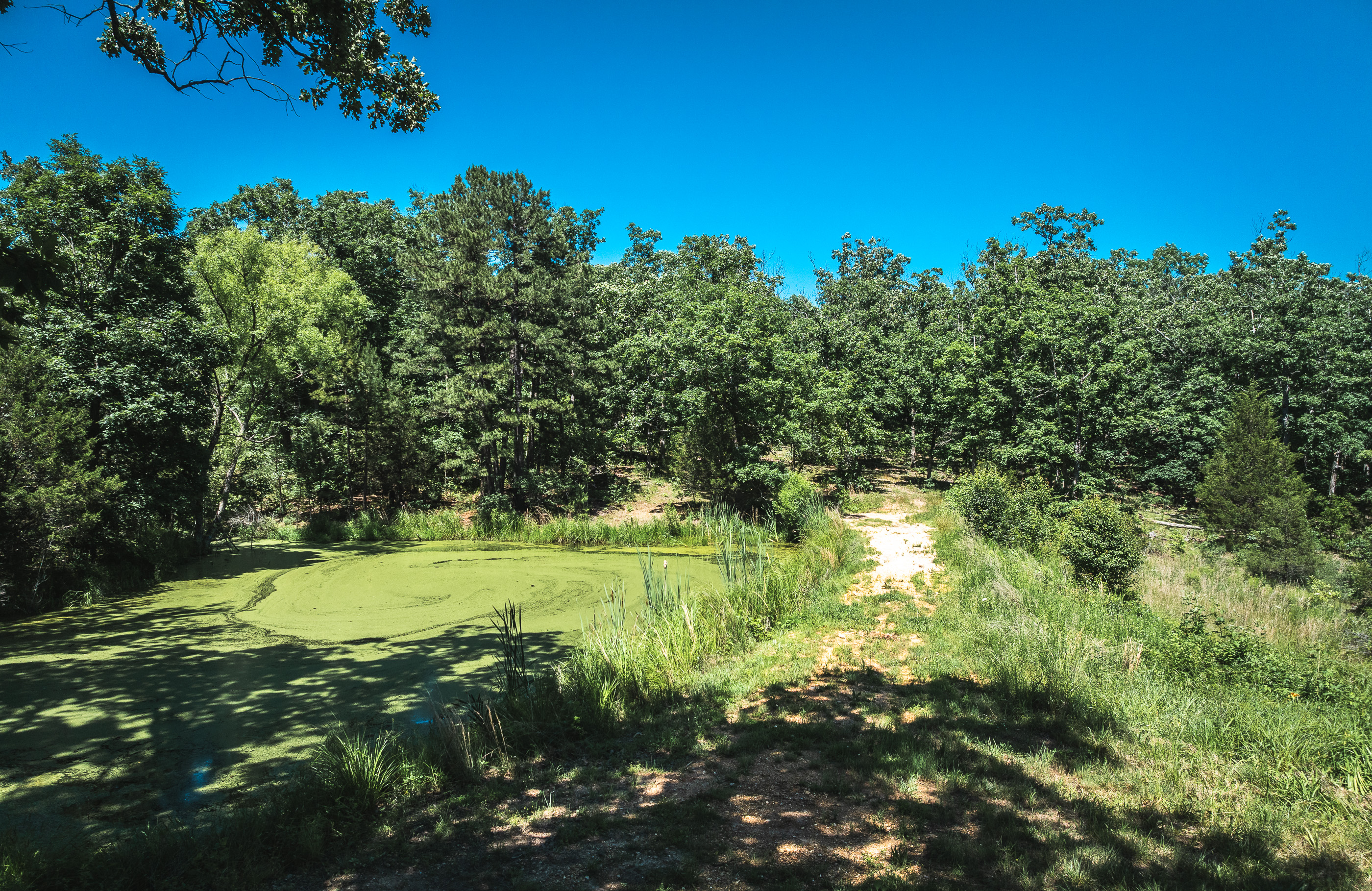 Cherryville 10