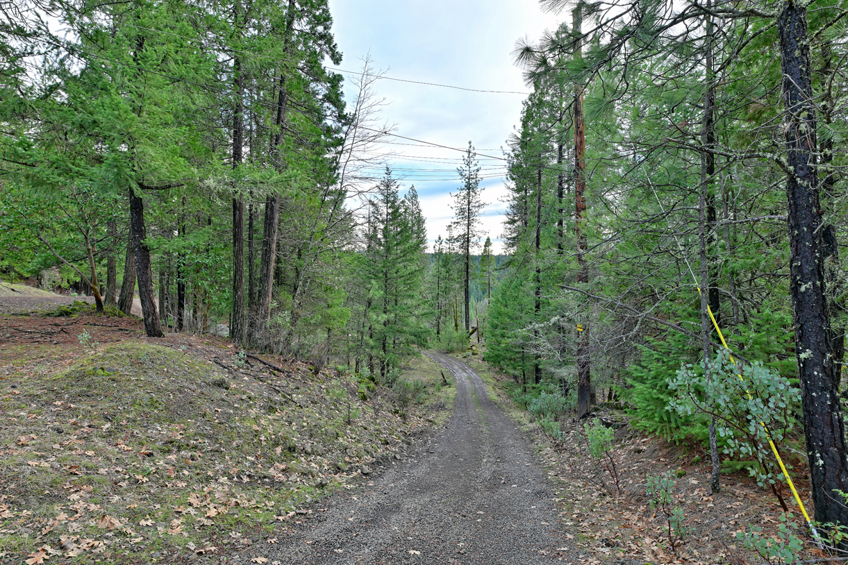 Listing Image 34