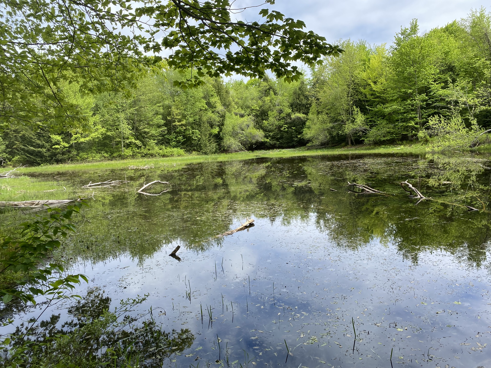 Listing Image 34
