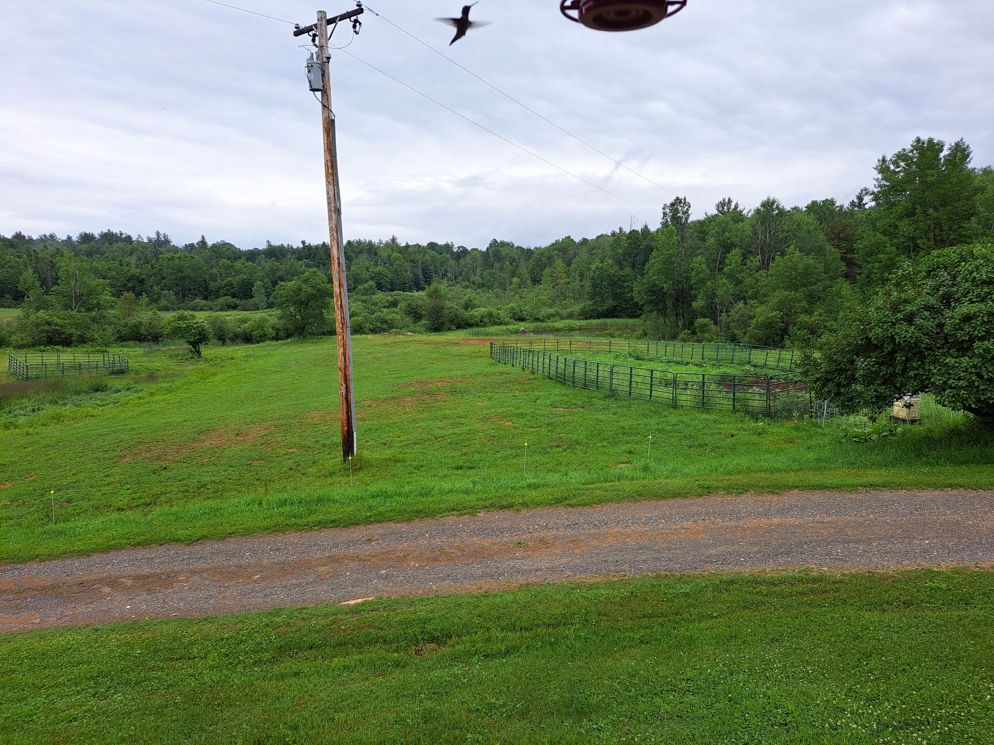 Listing Image 69