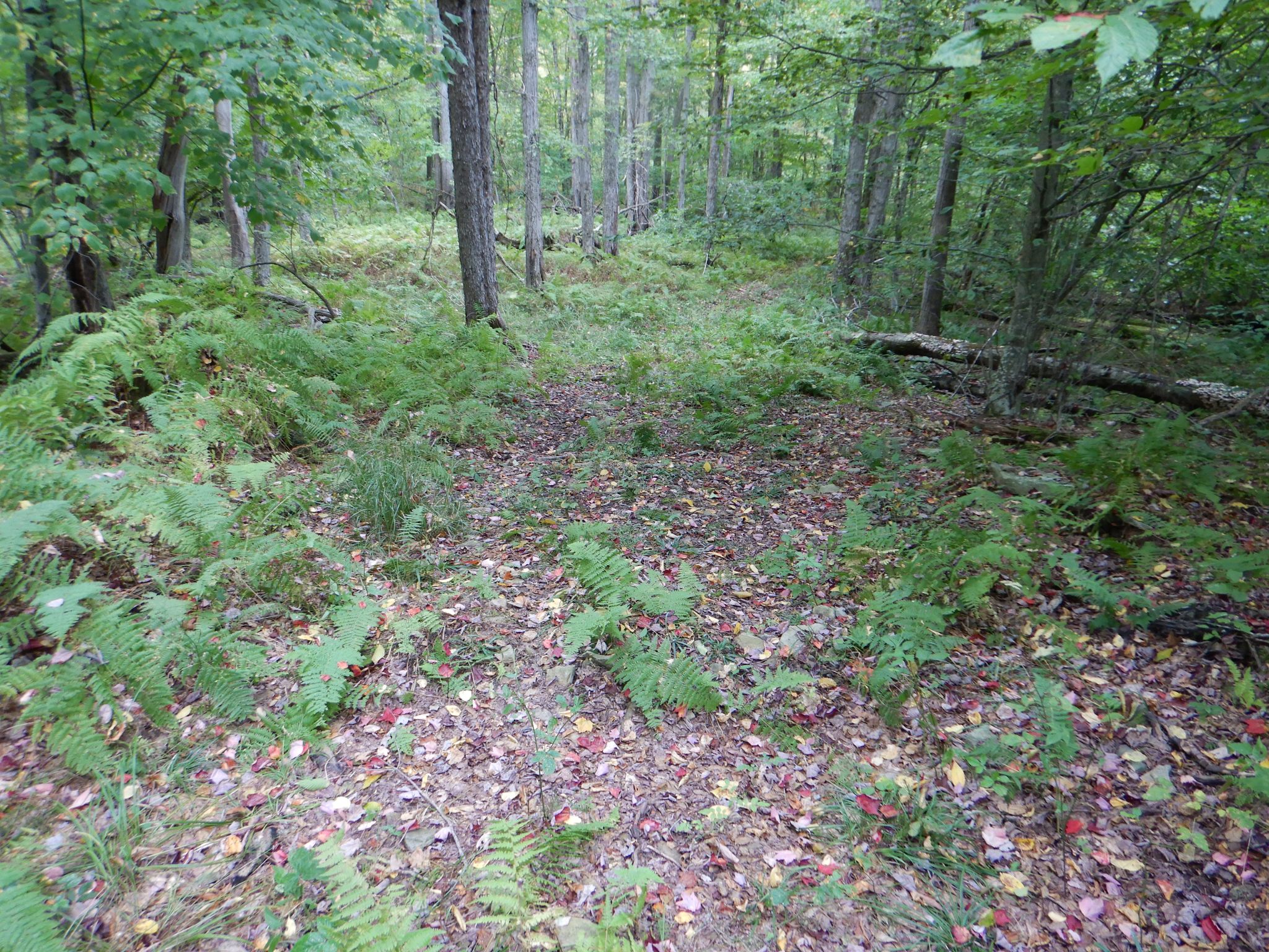 Listing Image 20
