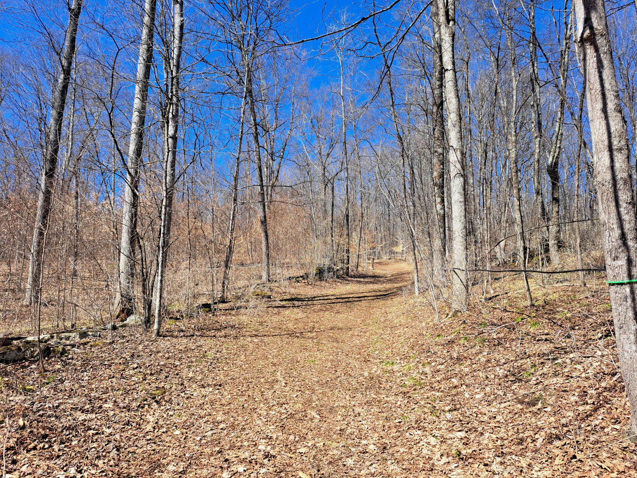 Listing Image 64