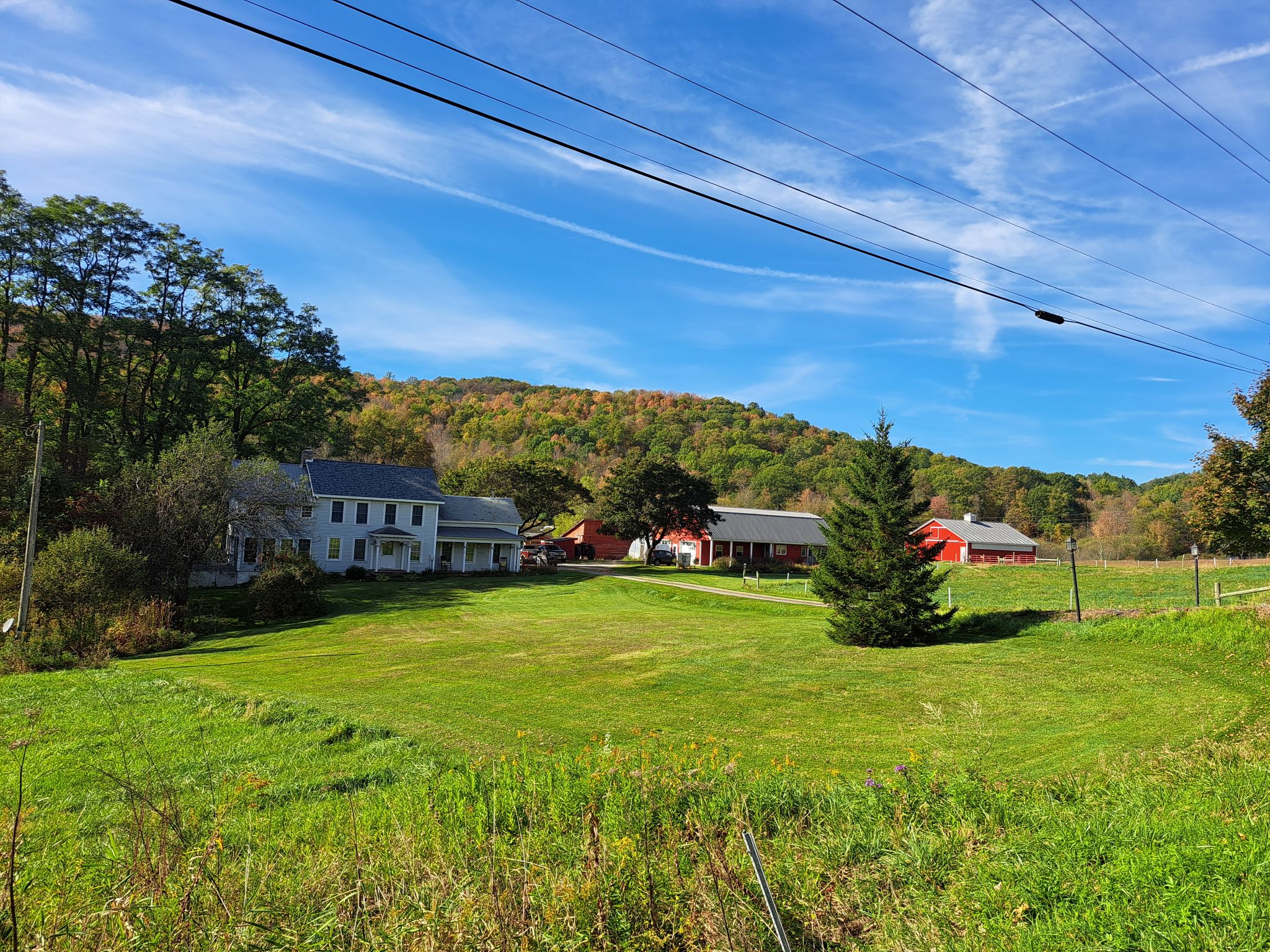 Listing Image 81